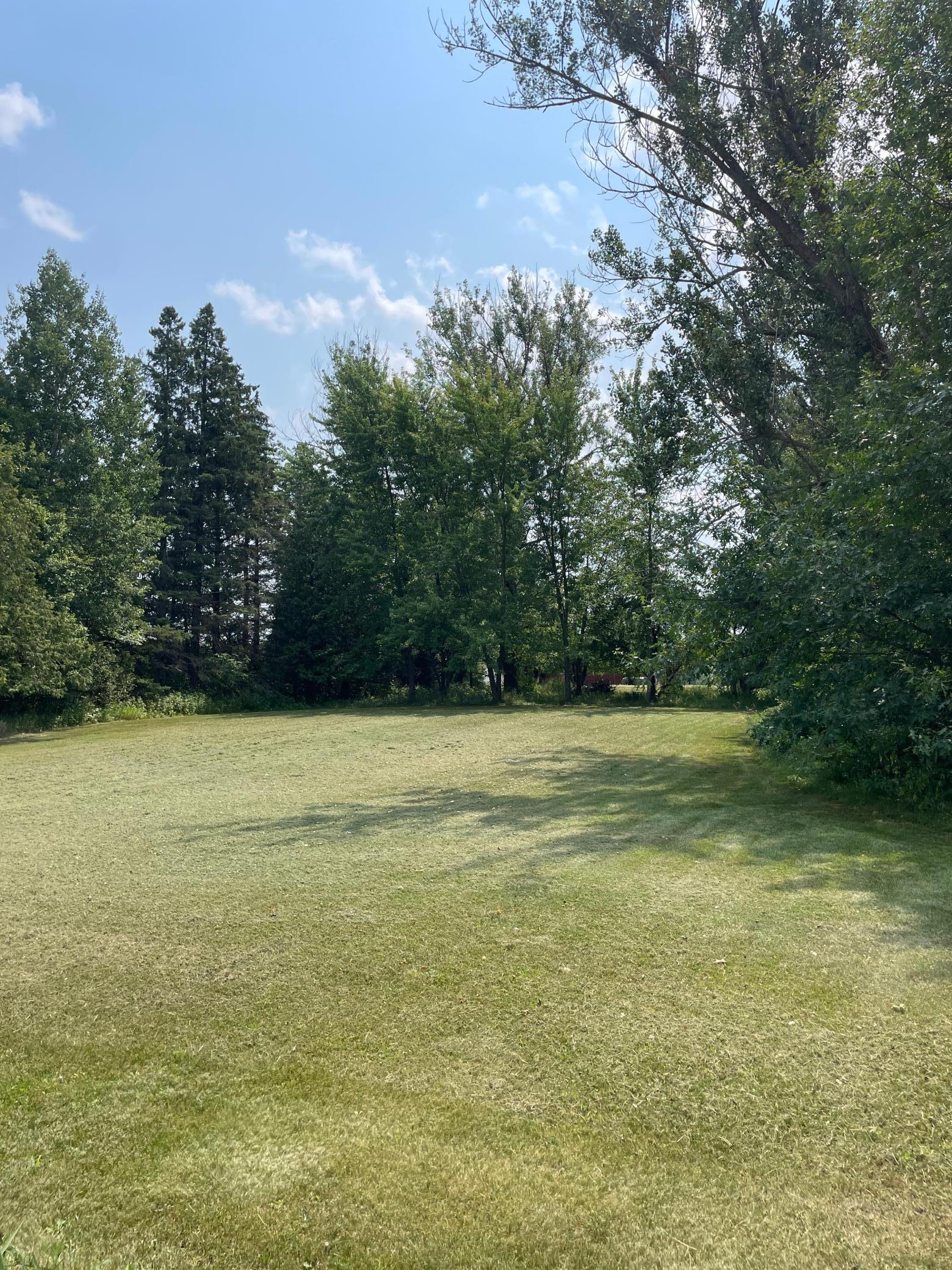 1918 land for sale at 14331 395th Lane in Tamarack, MN (photo 13 of 53)