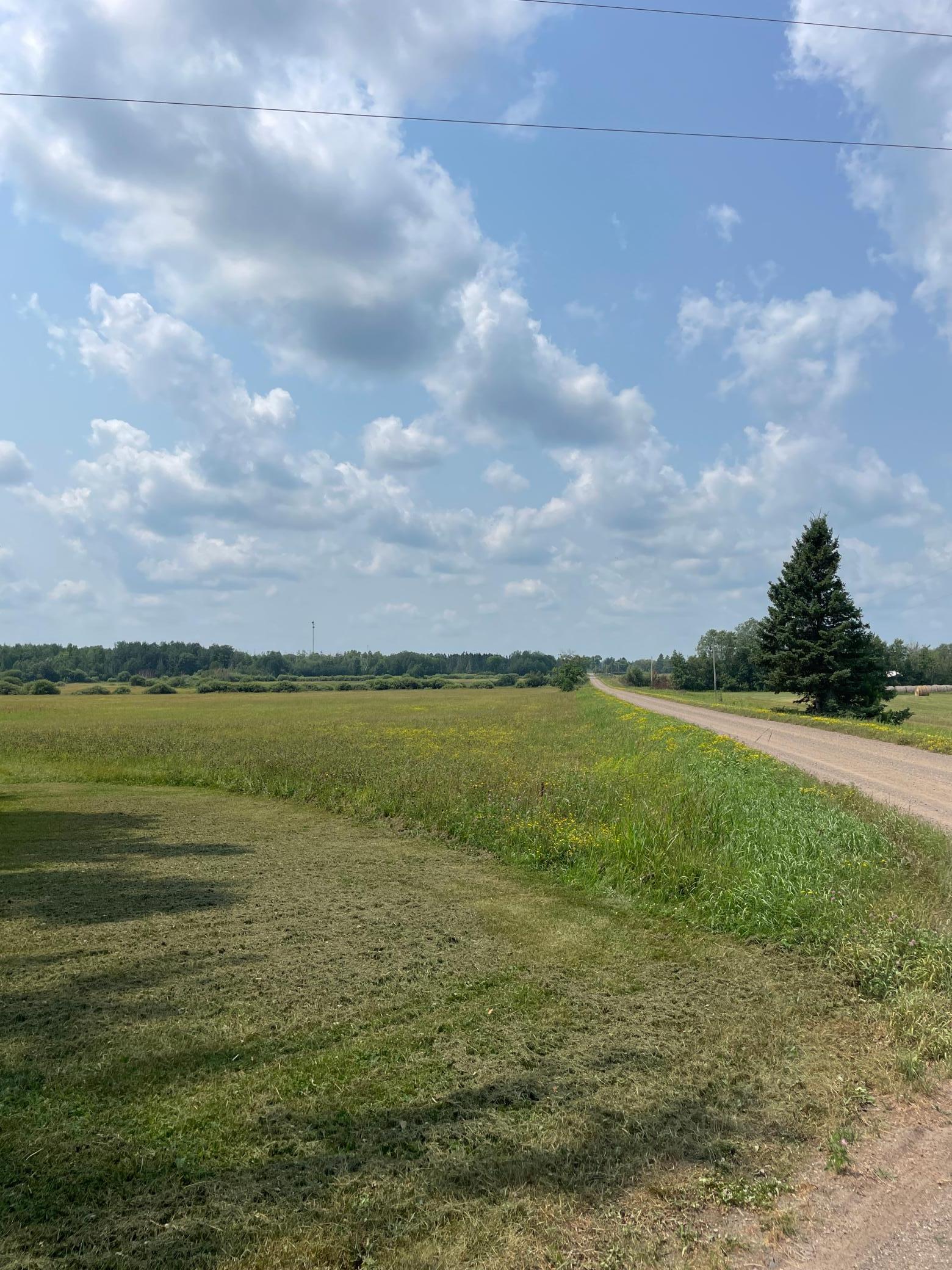 1918 land for sale at 14331 395th Lane in Tamarack, MN (photo 14 of 53)