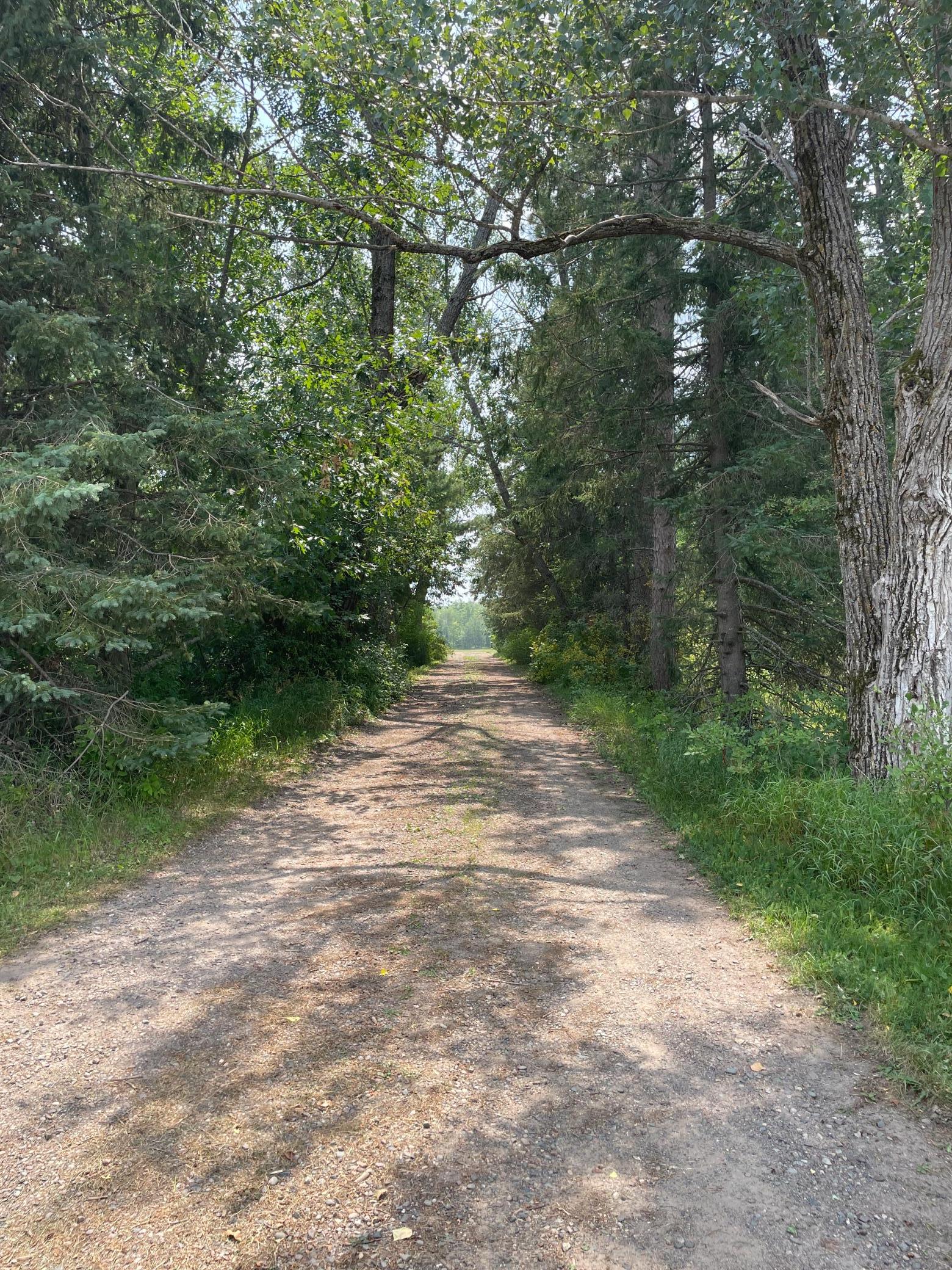 1918 land for sale at 14331 395th Lane in Tamarack, MN (photo 15 of 53)