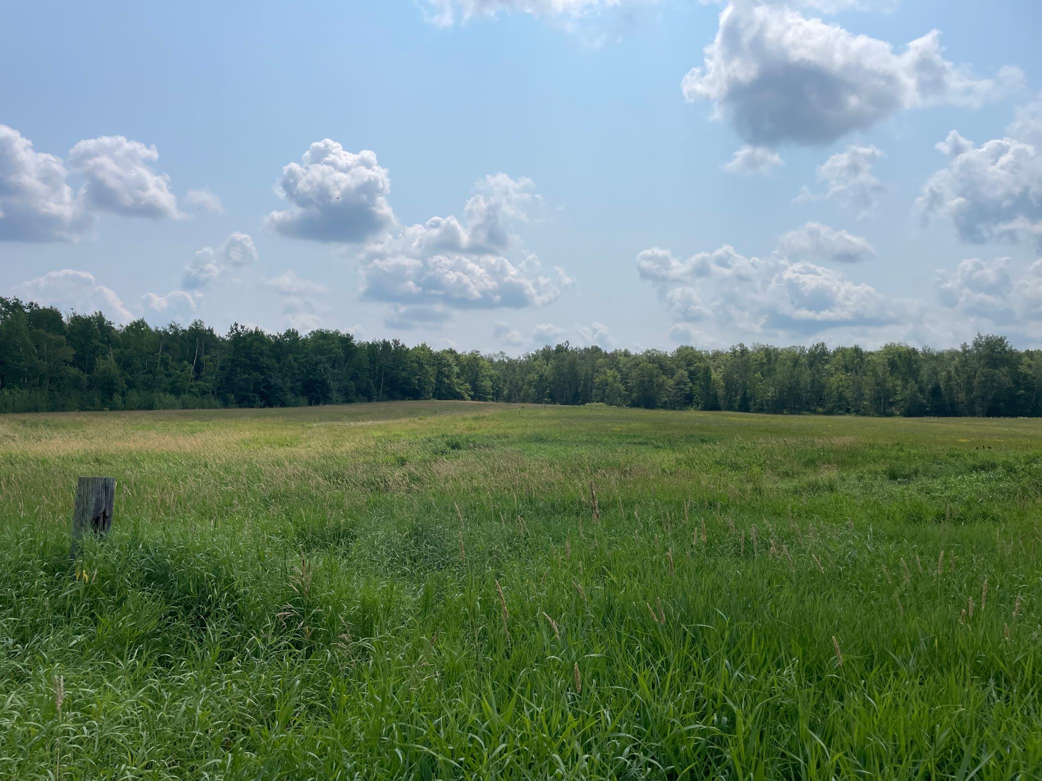 1918 land for sale at 14331 395th Lane in Tamarack, MN (photo 17 of 53)