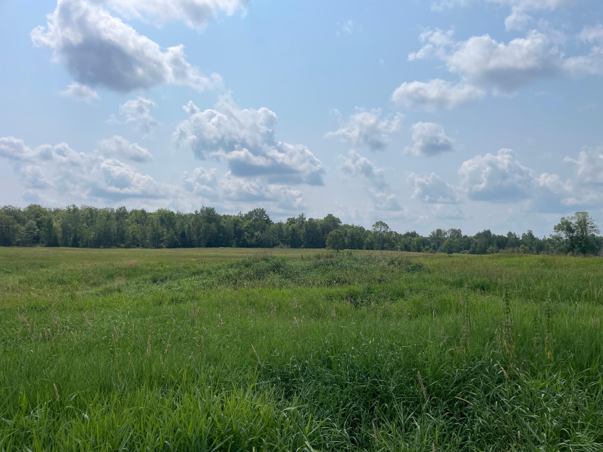 1918 land for sale at 14331 395th Lane in Tamarack, MN (photo 18 of 53)