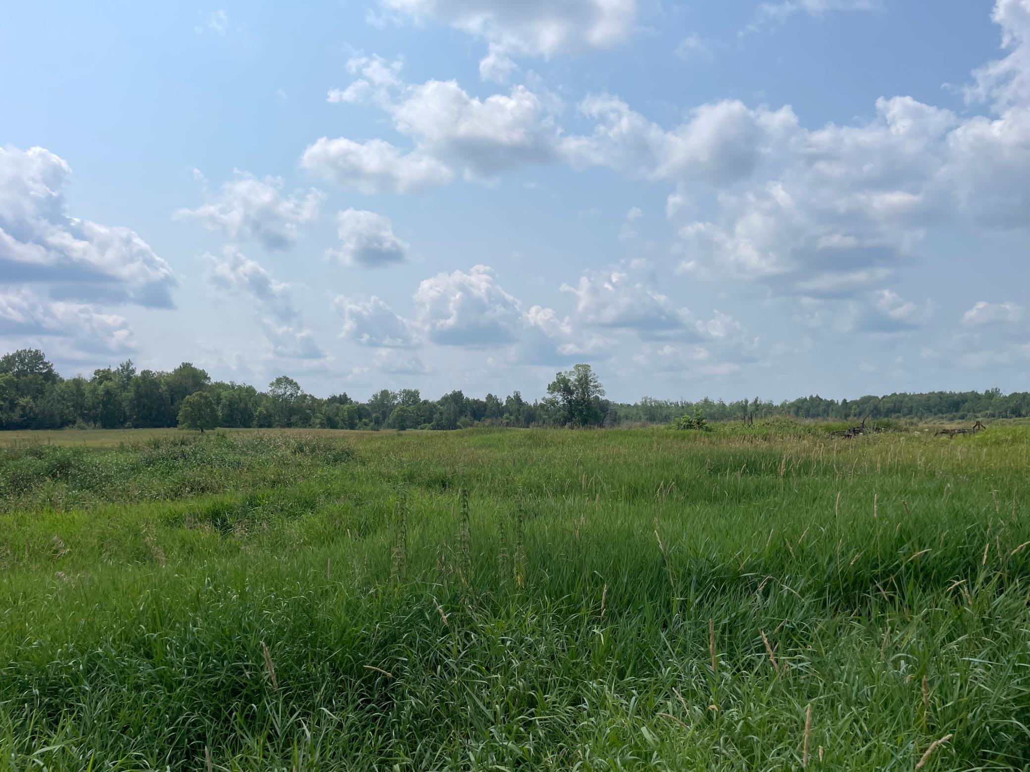 1918 land for sale at 14331 395th Lane in Tamarack, MN (photo 22 of 53)