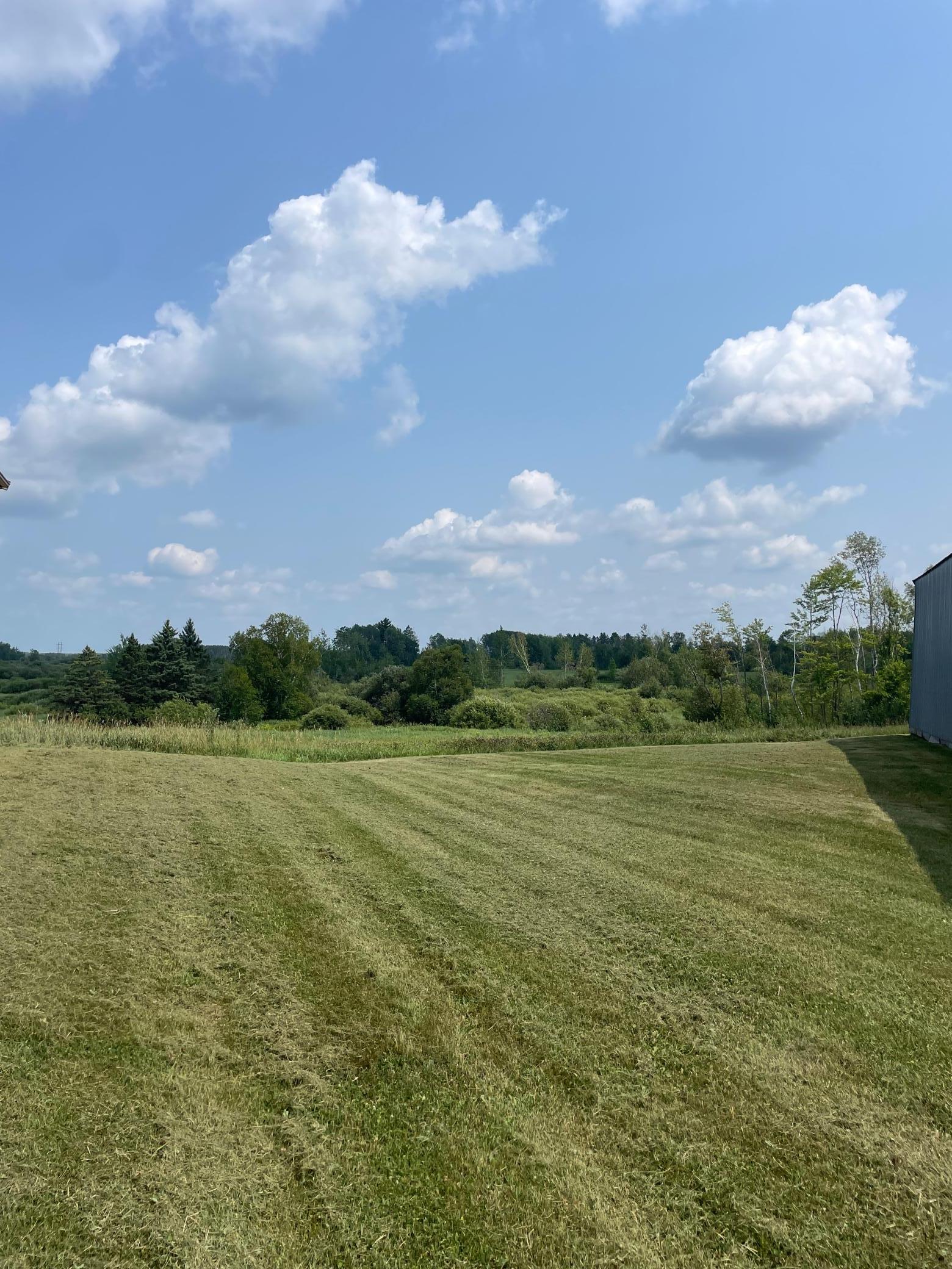 1918 land for sale at 14331 395th Lane in Tamarack, MN (photo 23 of 53)