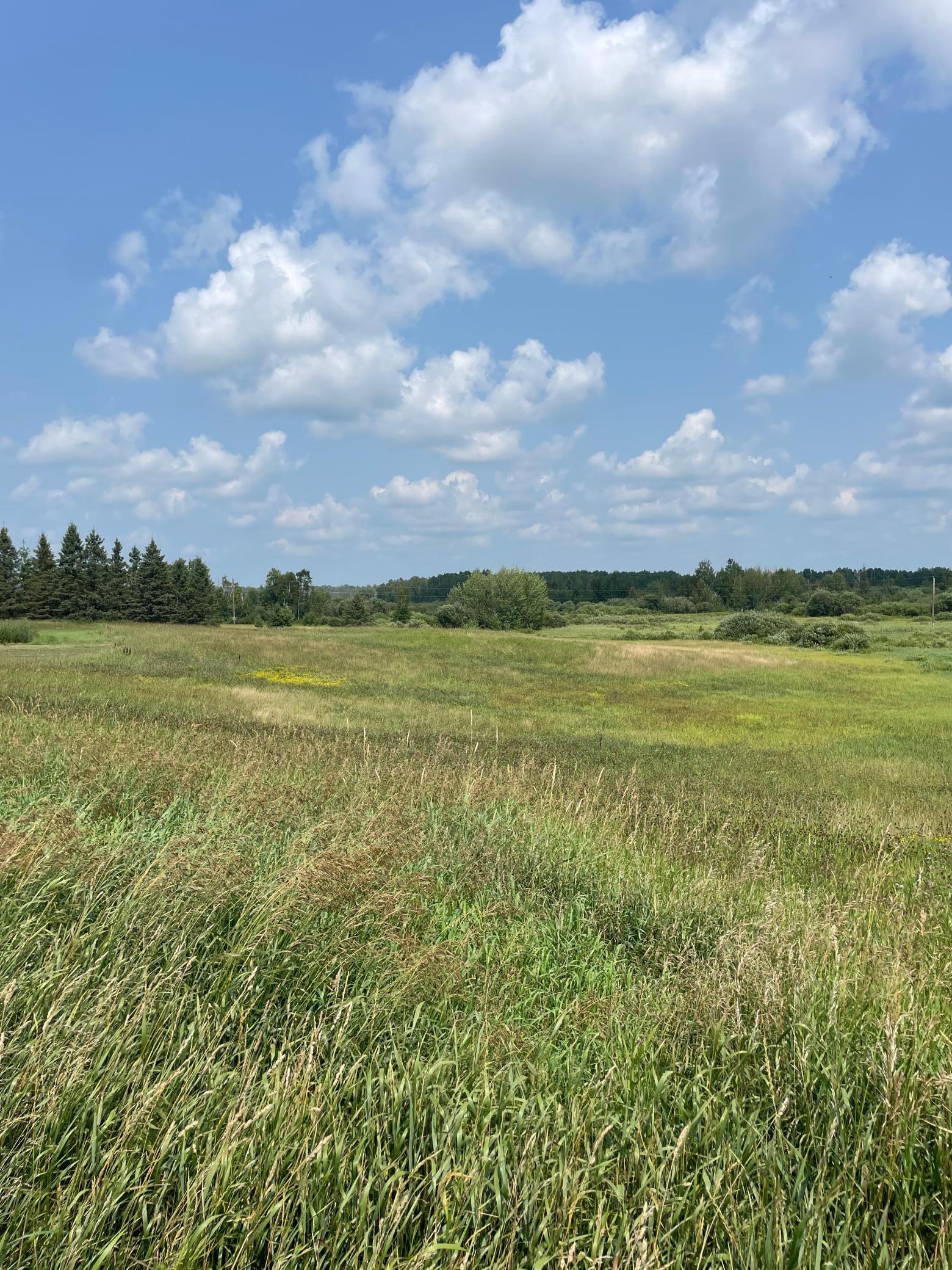 1918 land for sale at 14331 395th Lane in Tamarack, MN (photo 24 of 53)