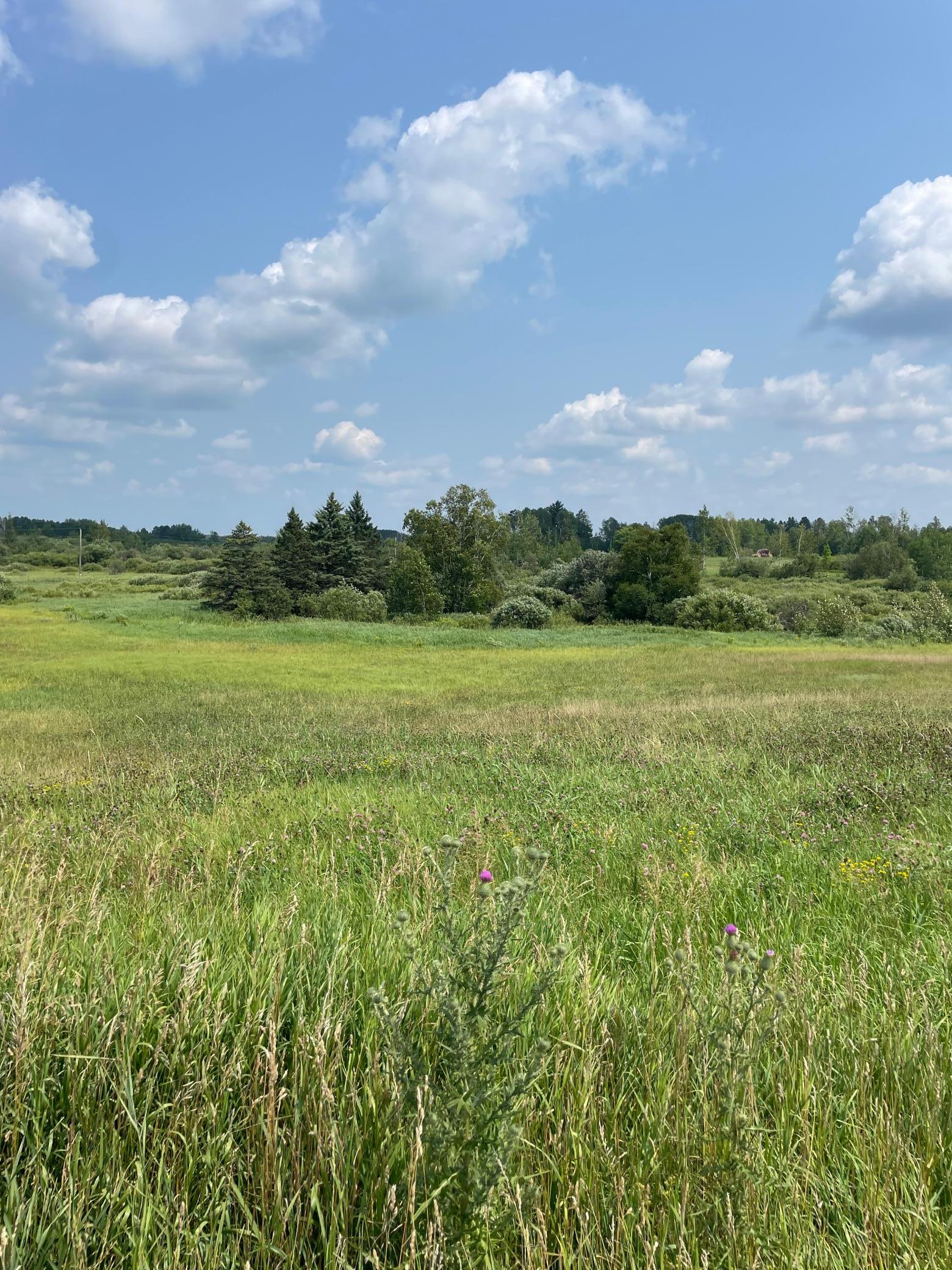 1918 land for sale at 14331 395th Lane in Tamarack, MN (photo 25 of 53)