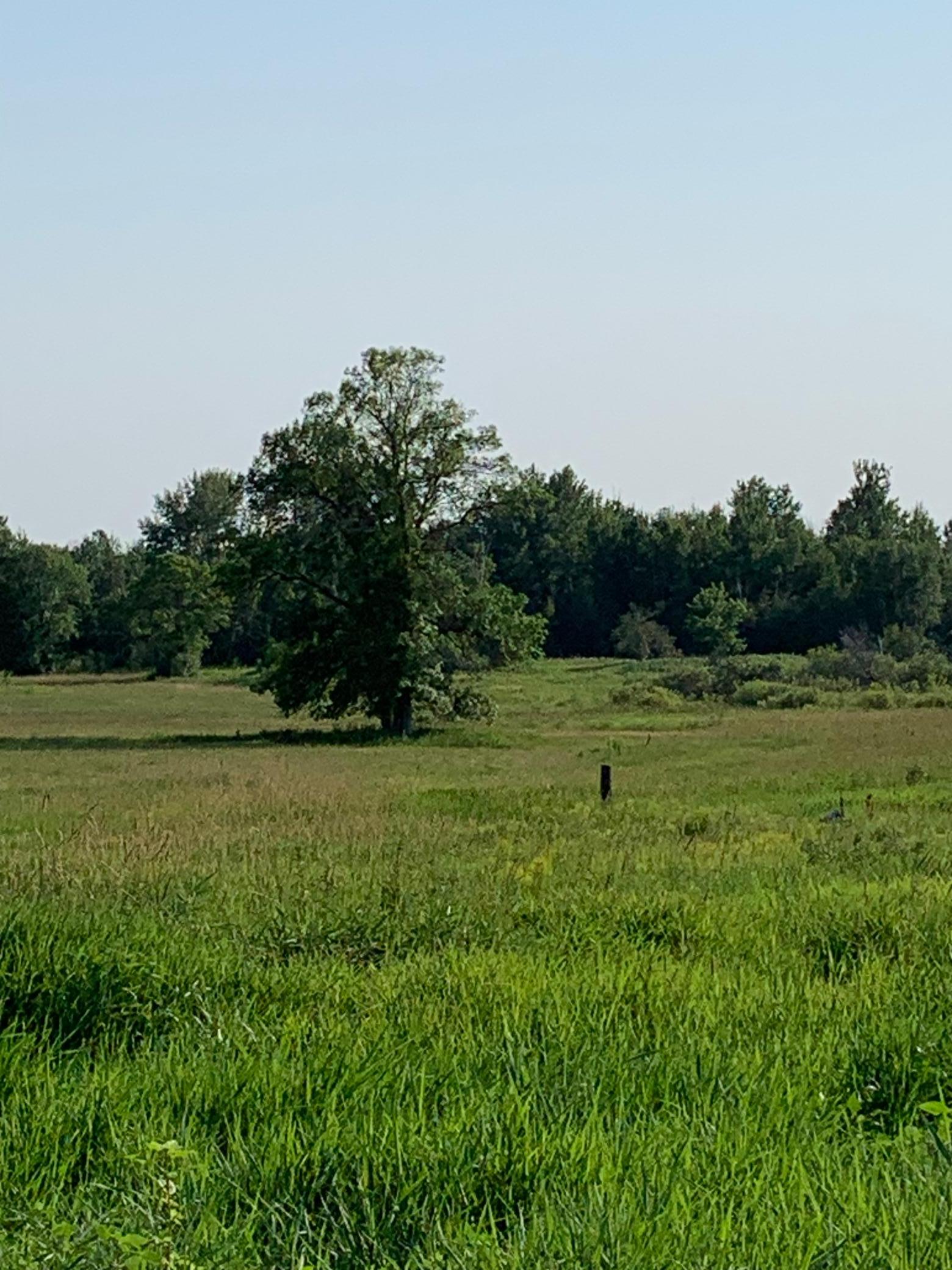 1918 land for sale at 14331 395th Lane in Tamarack, MN (photo 35 of 53)