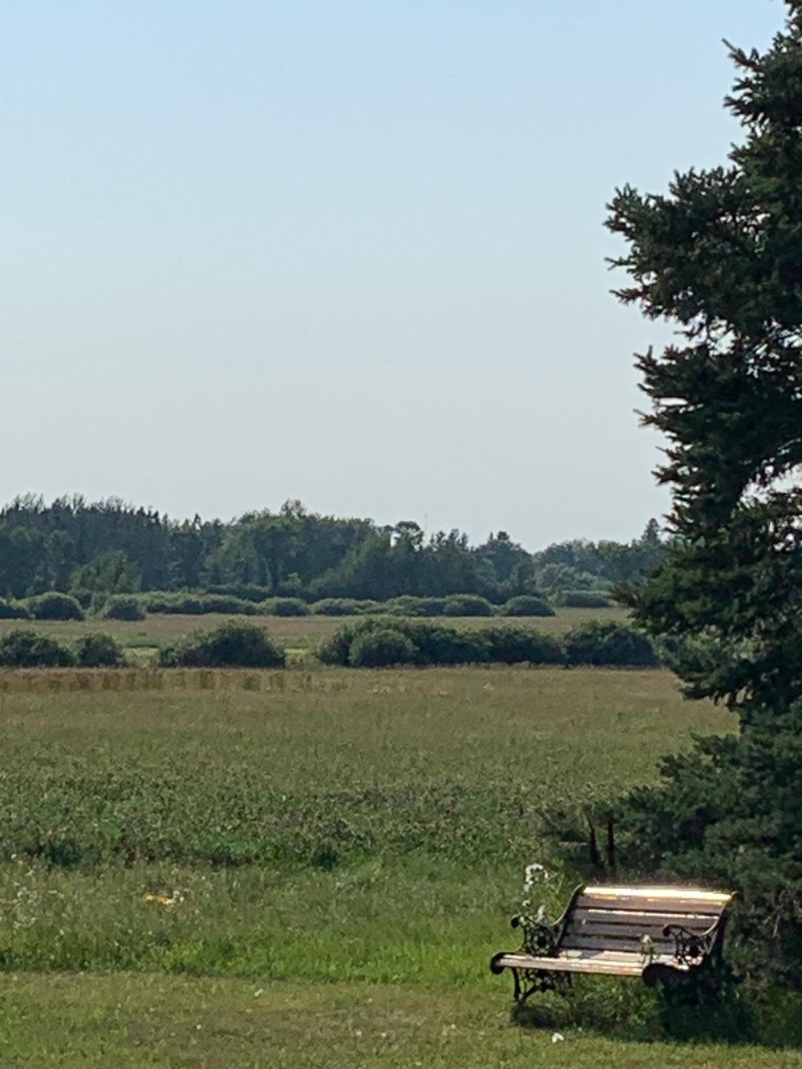 1918 land for sale at 14331 395th Lane in Tamarack, MN (photo 36 of 53)