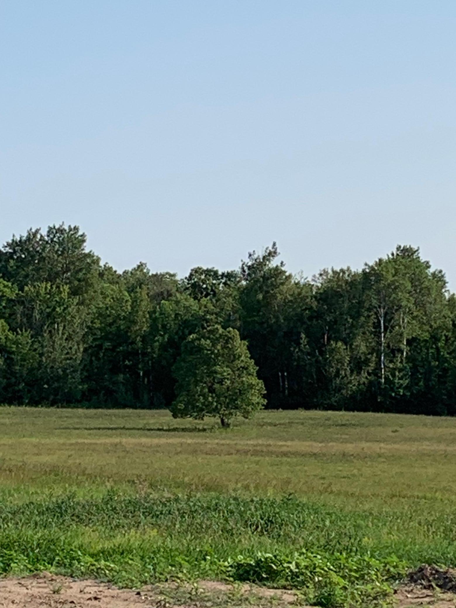 1918 land for sale at 14331 395th Lane in Tamarack, MN (photo 38 of 53)
