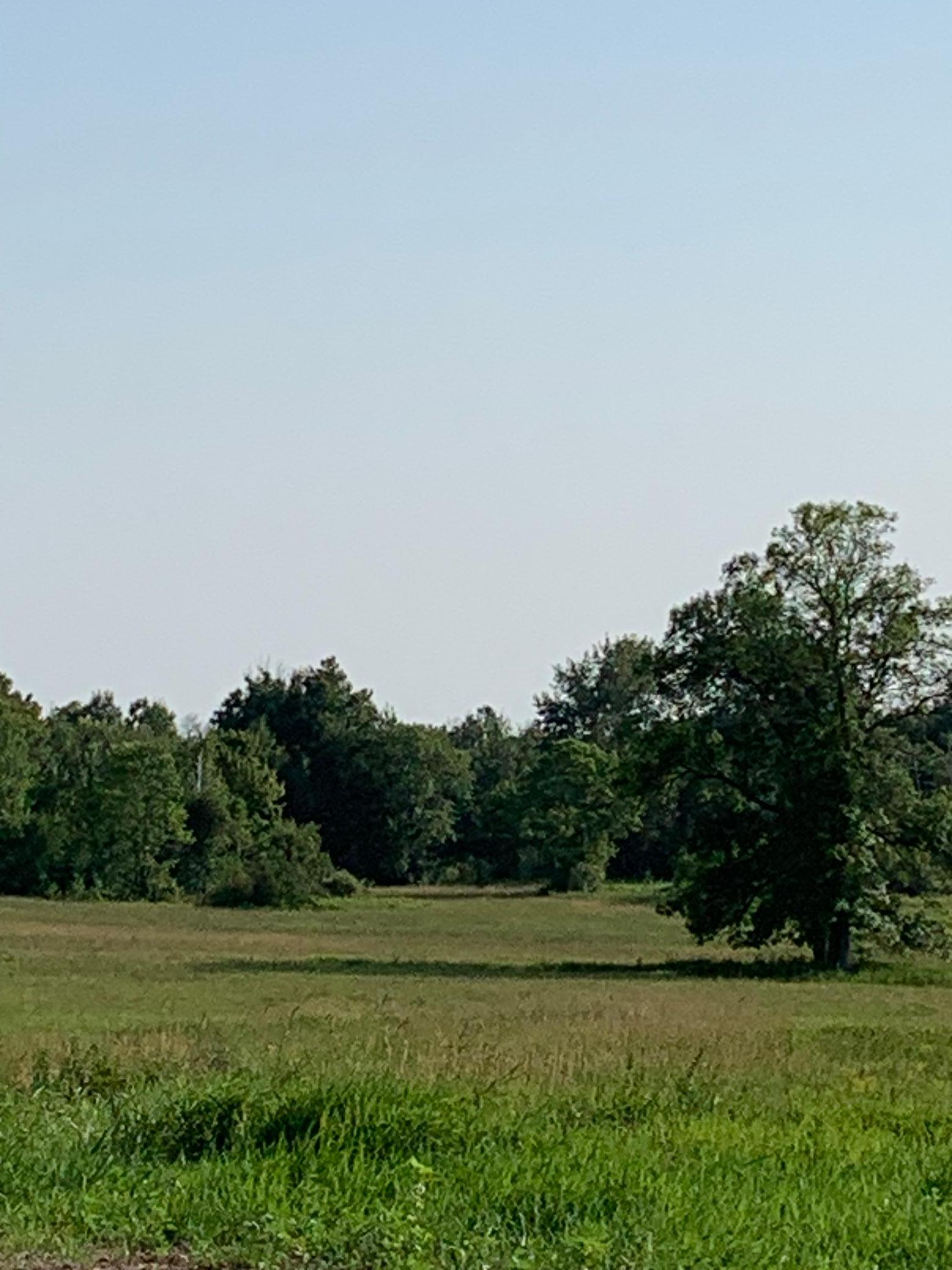 1918 land for sale at 14331 395th Lane in Tamarack, MN (photo 39 of 53)