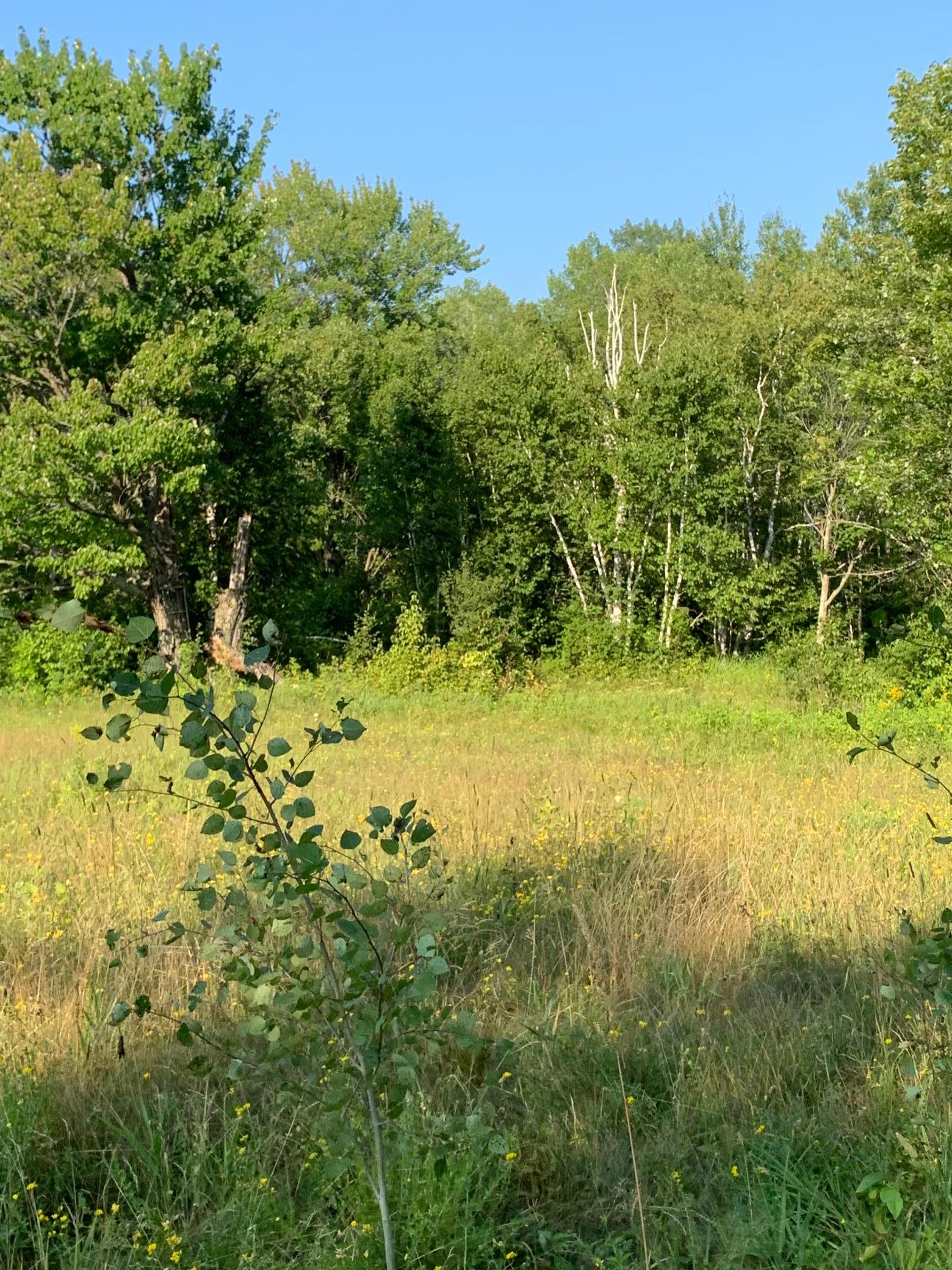 1918 land for sale at 14331 395th Lane in Tamarack, MN (photo 41 of 53)