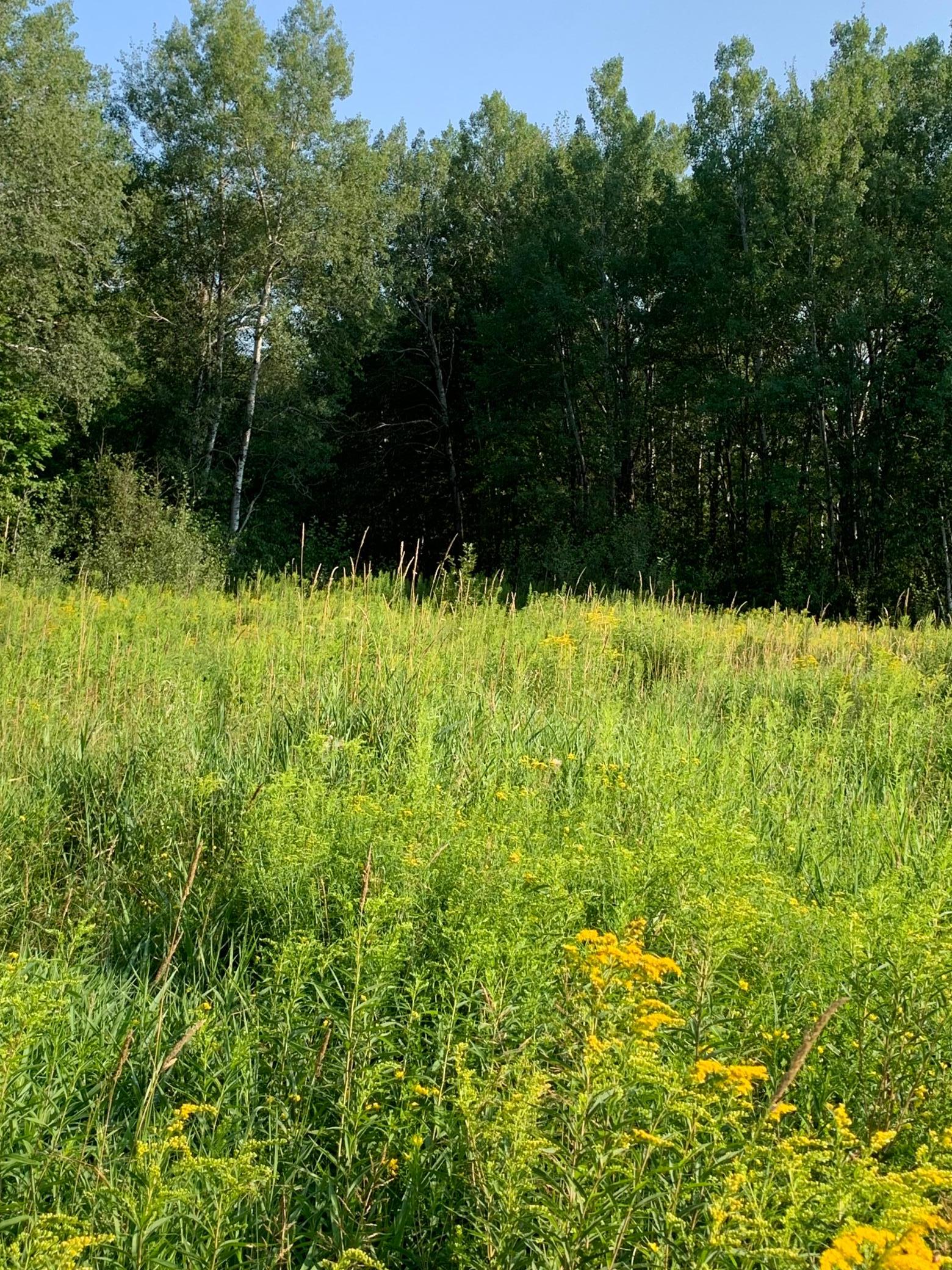 1918 land for sale at 14331 395th Lane in Tamarack, MN (photo 42 of 53)
