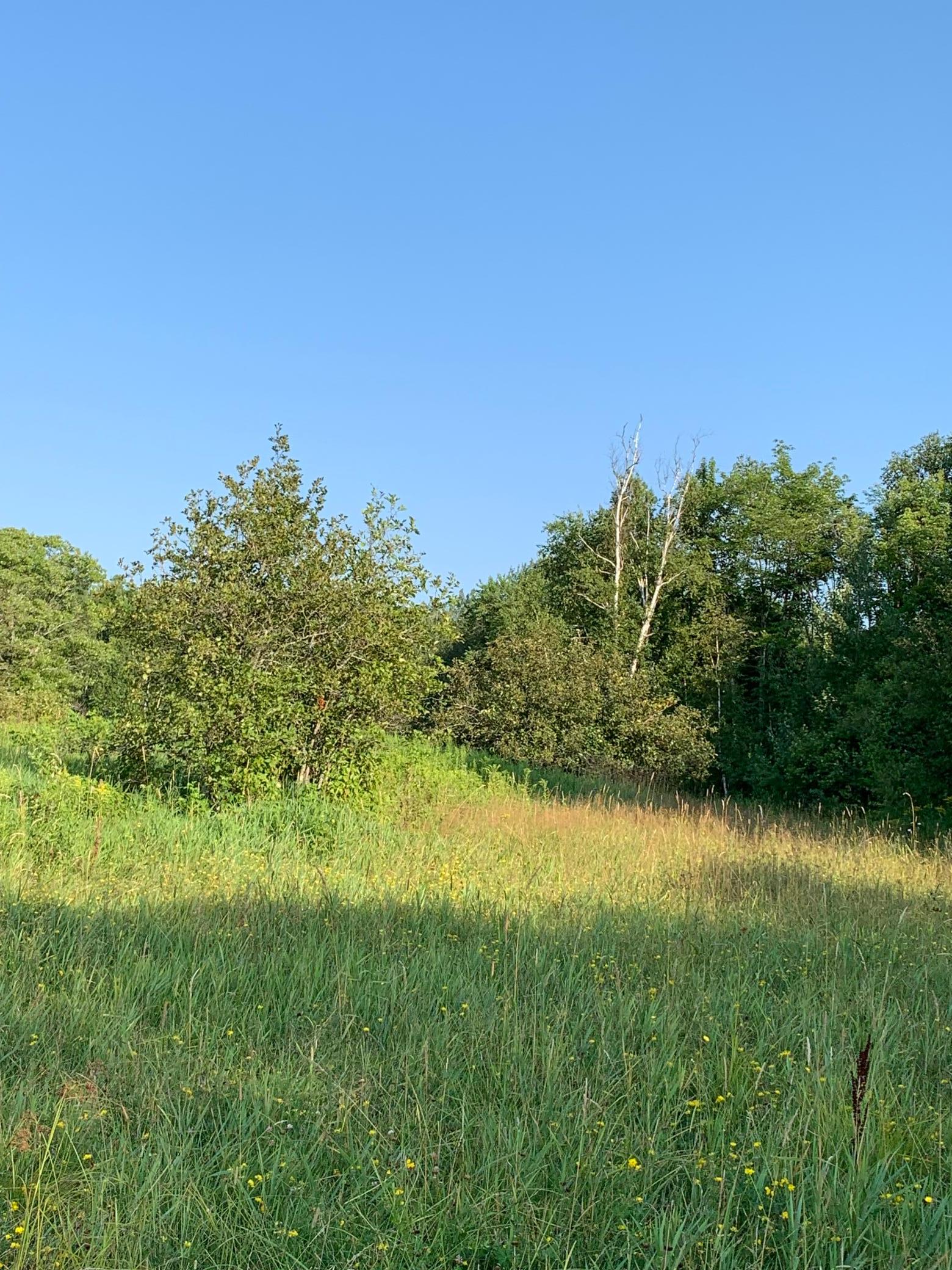 1918 land for sale at 14331 395th Lane in Tamarack, MN (photo 44 of 53)