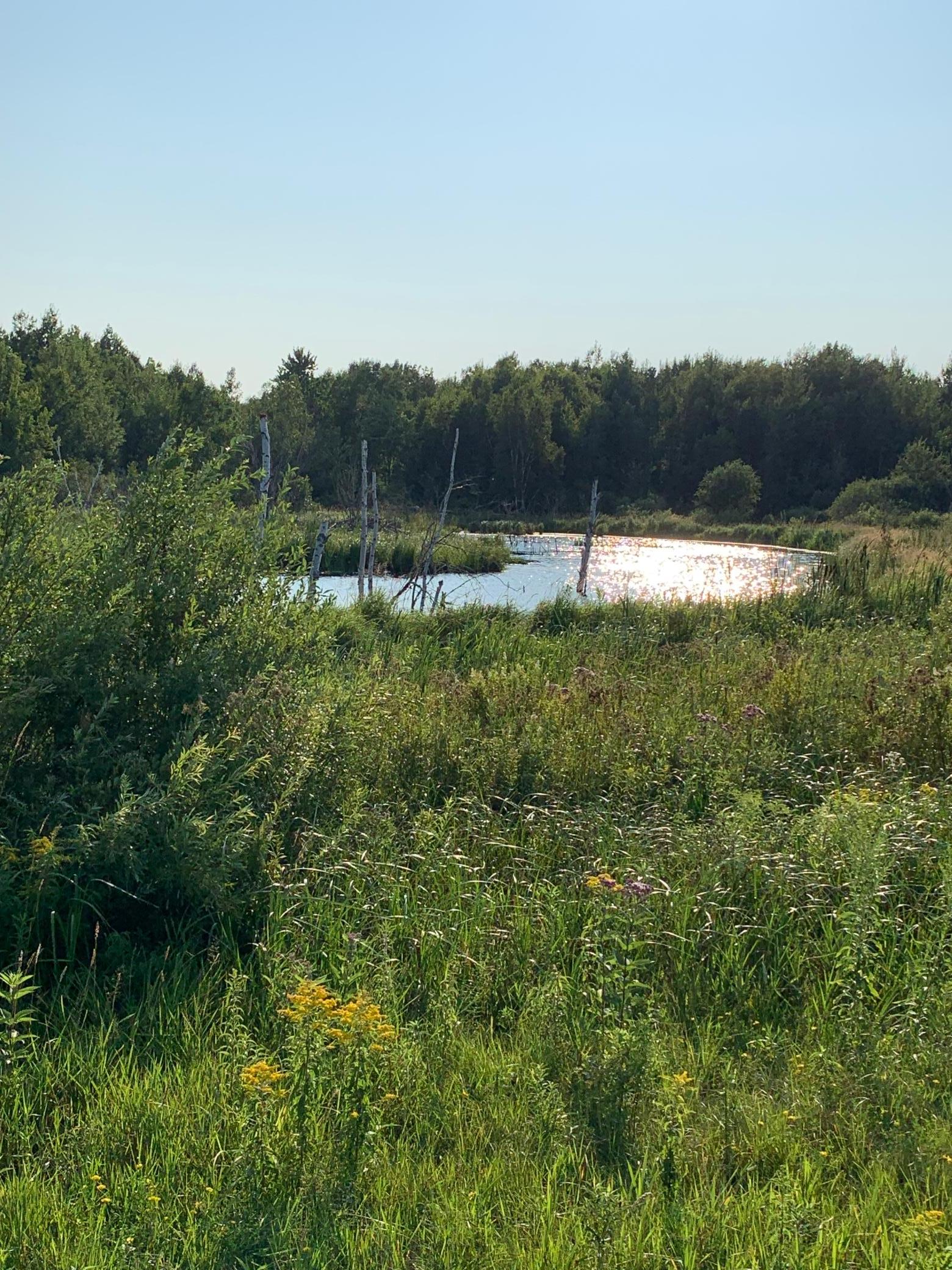 1918 land for sale at 14331 395th Lane in Tamarack, MN (photo 45 of 53)