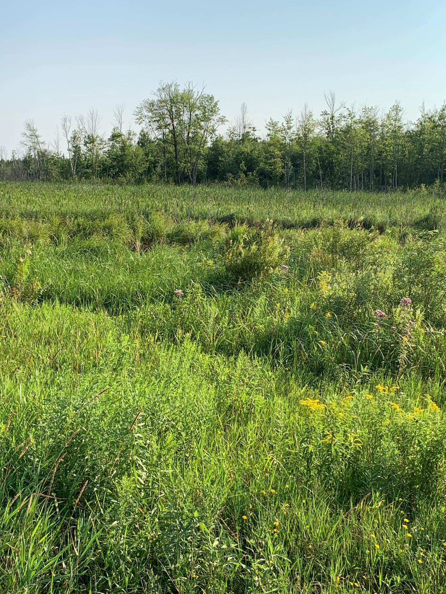 1918 land for sale at 14331 395th Lane in Tamarack, MN (photo 46 of 53)