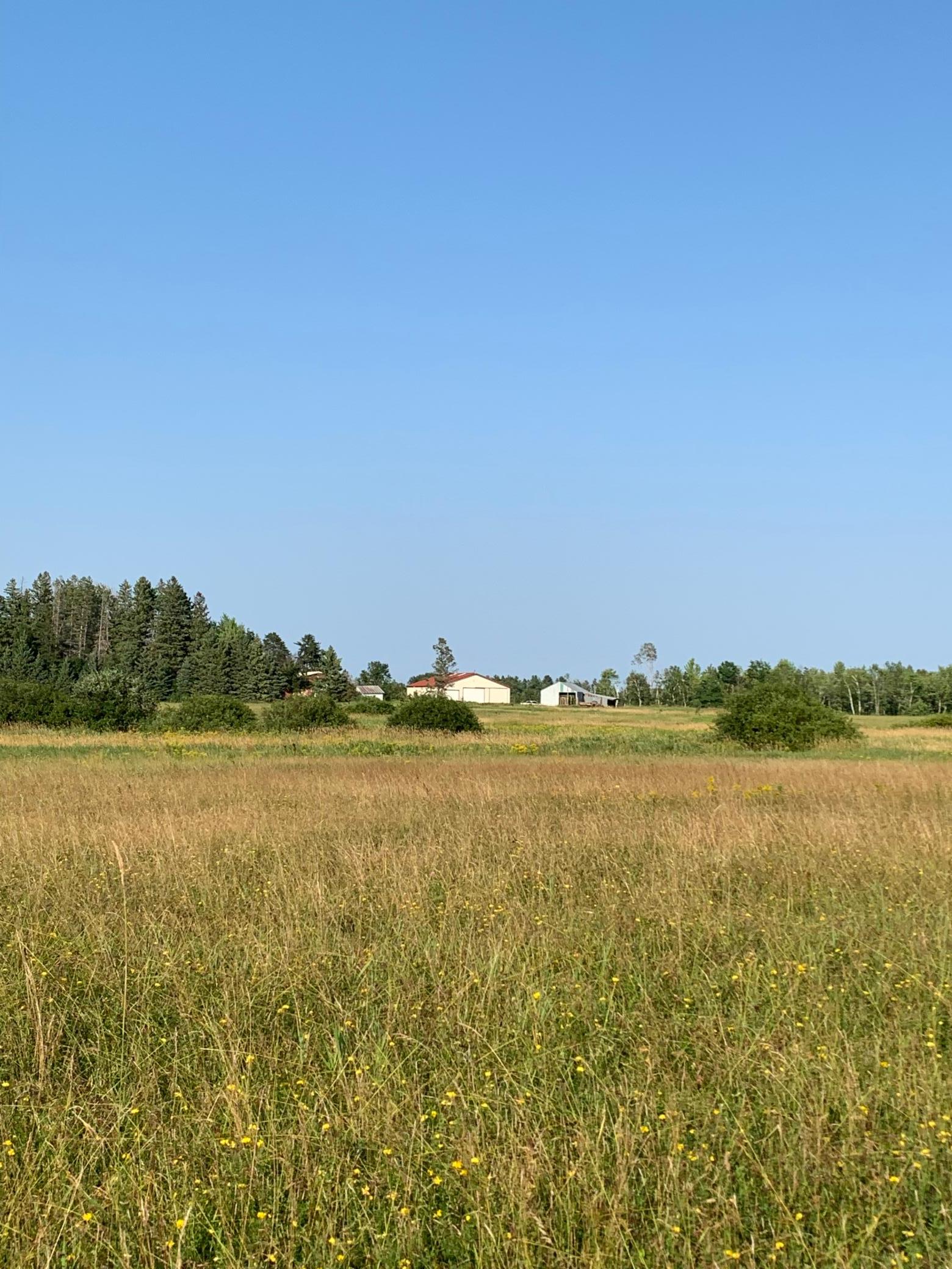 1918 land for sale at 14331 395th Lane in Tamarack, MN (photo 47 of 53)