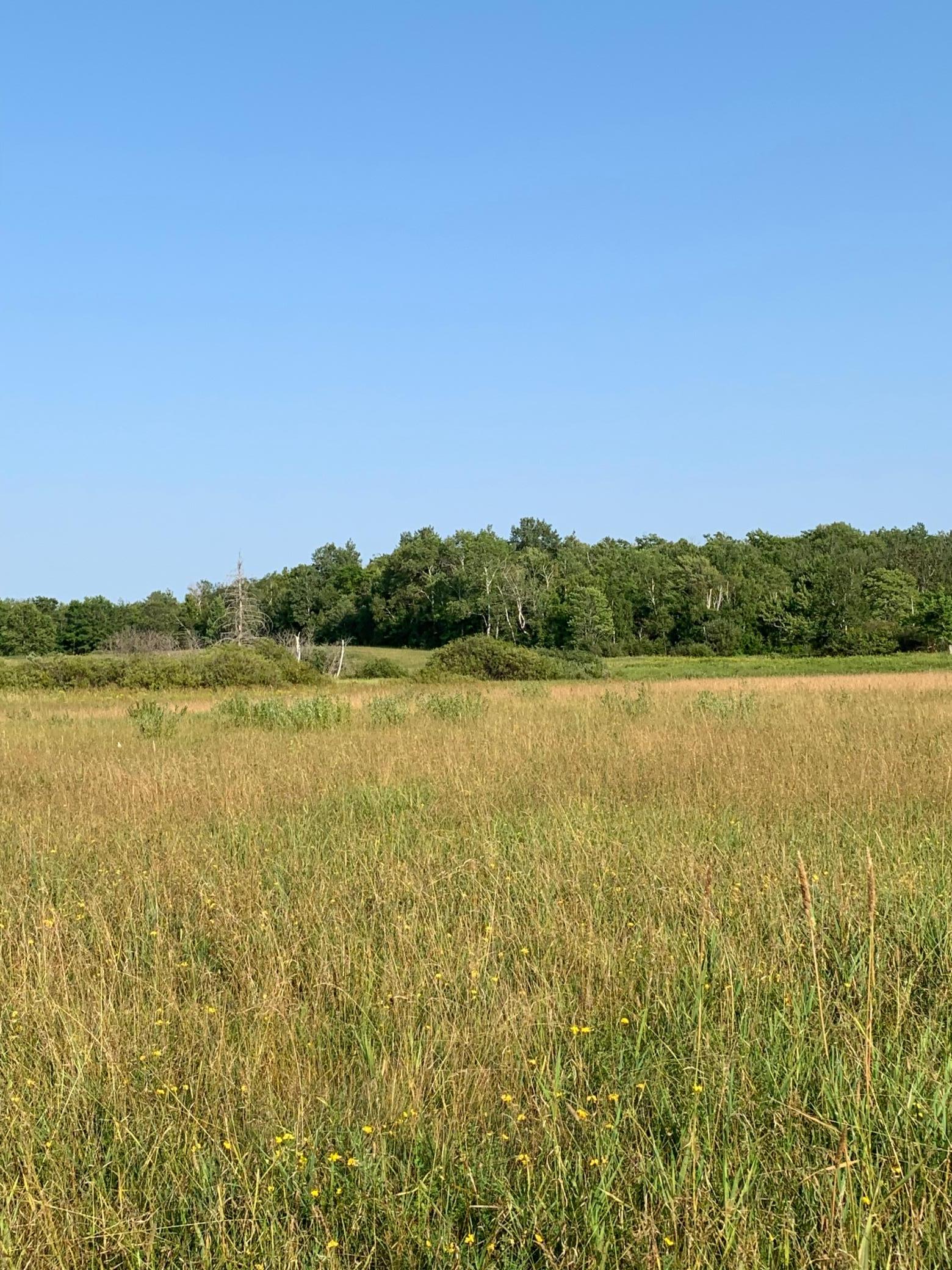1918 land for sale at 14331 395th Lane in Tamarack, MN (photo 48 of 53)