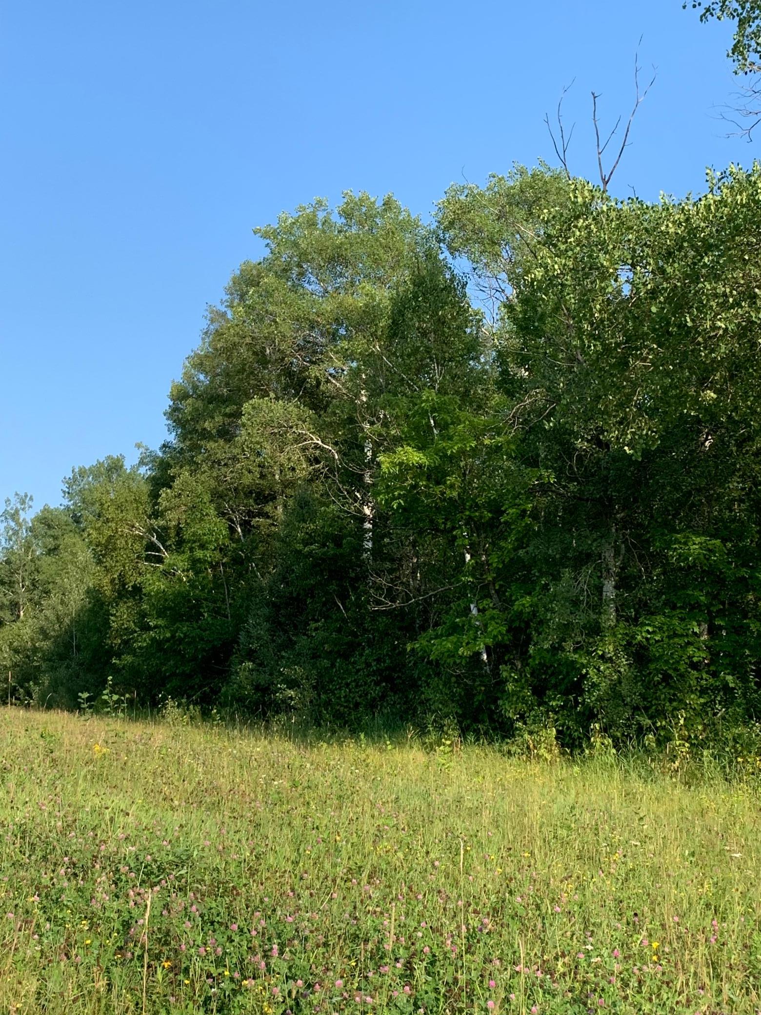 1918 land for sale at 14331 395th Lane in Tamarack, MN (photo 50 of 53)