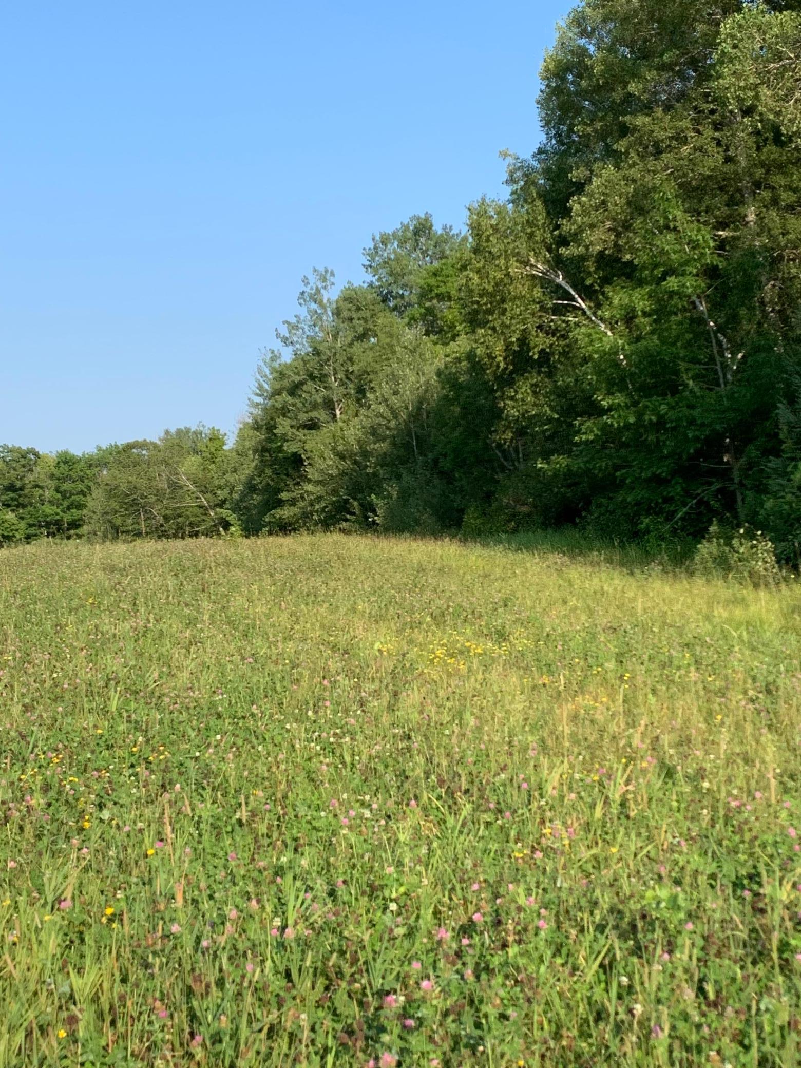 1918 land for sale at 14331 395th Lane in Tamarack, MN (photo 51 of 53)