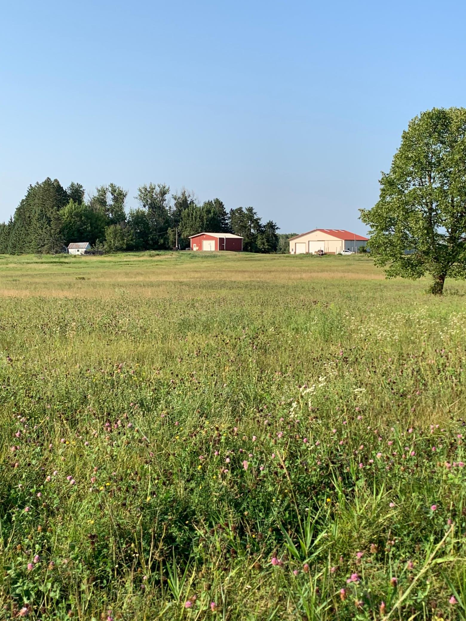 1918 land for sale at 14331 395th Lane in Tamarack, MN (photo 52 of 53)