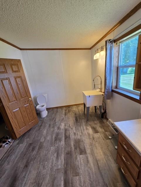 2001 single family home for sale at 417 5th Avenue SE in Baudette, MN — 3 bed, 2 bath (photo 8 of 22)