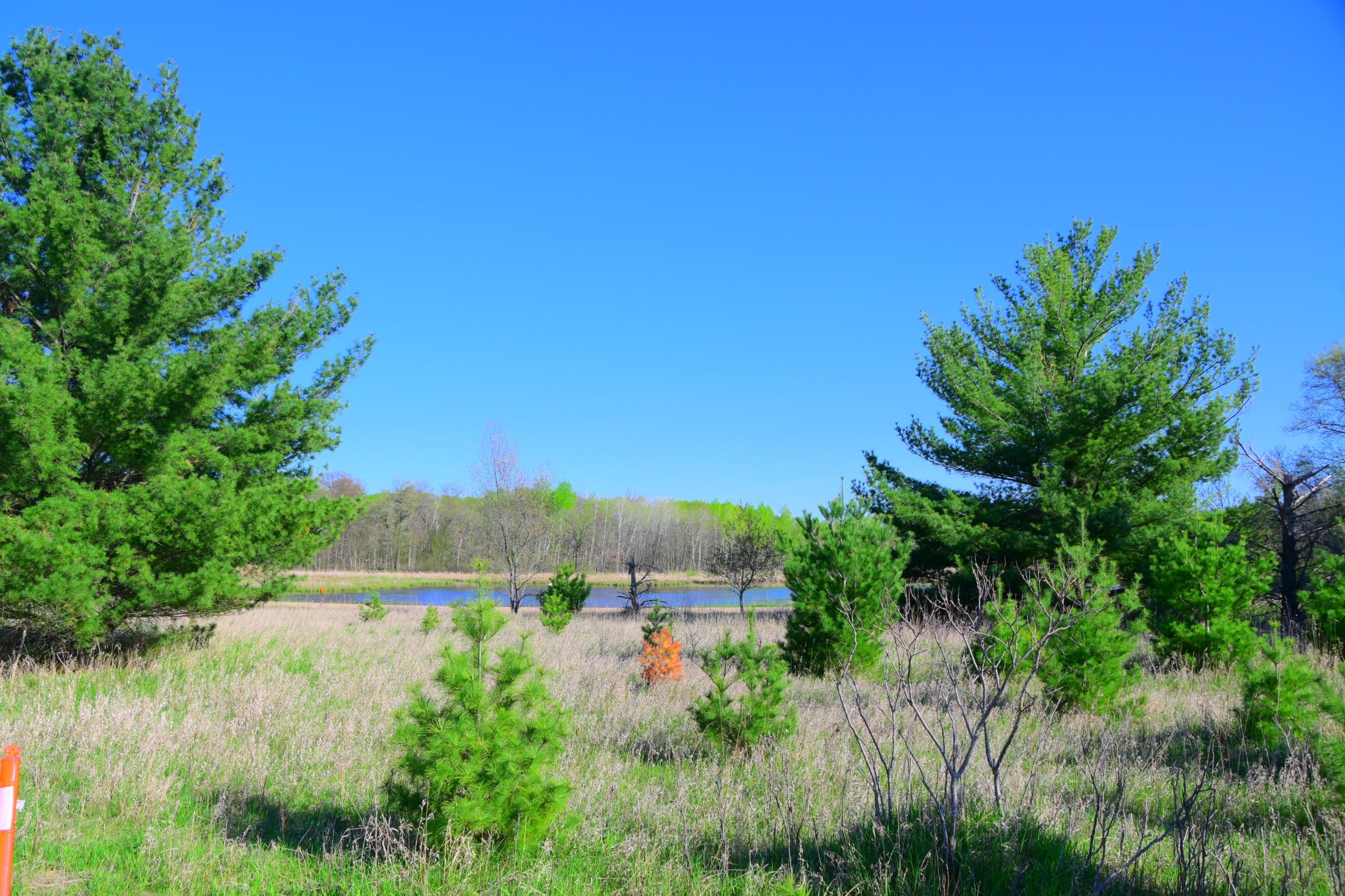 28274 Orb Drive, Browerville MN 56438 - Photo 15 of 24