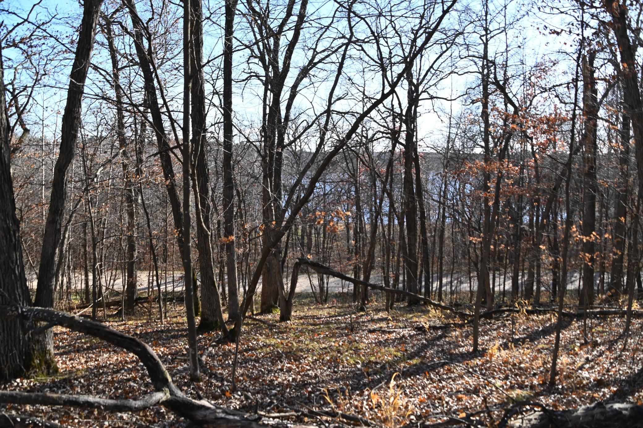 land for sale at TBD 392 Street in Fawn Lake Twp, MN