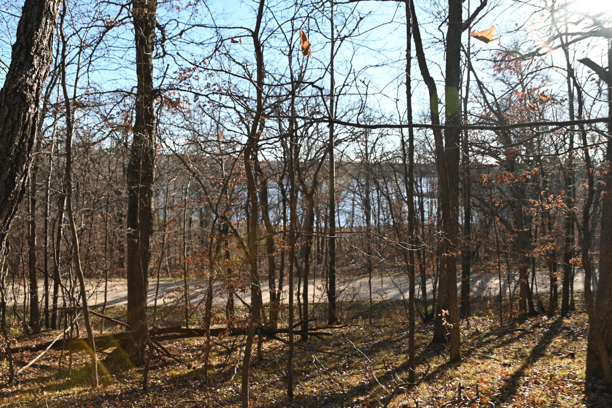land for sale at TBD 392 Street in Fawn Lake Twp, MN (photo 2 of 17)