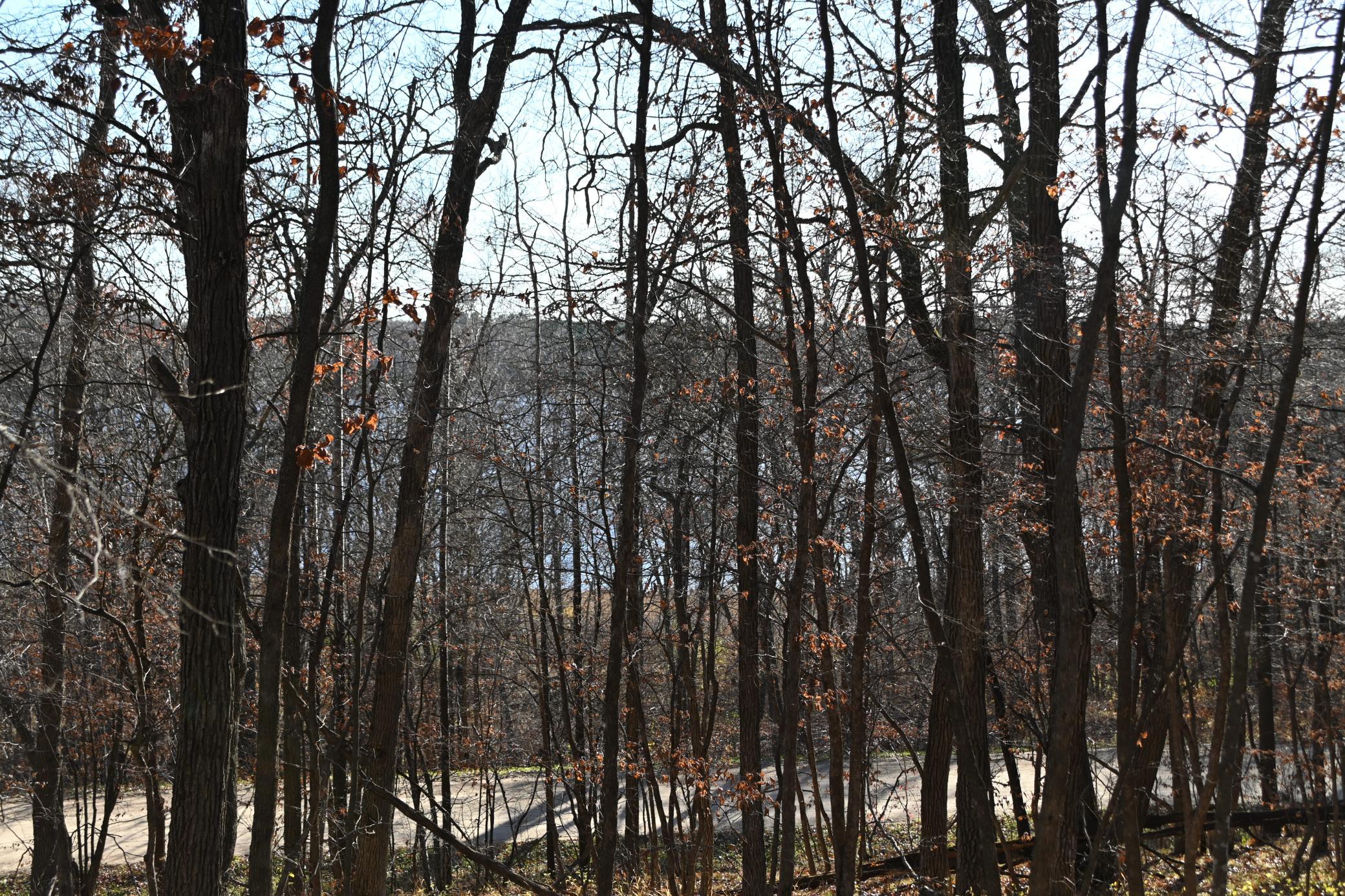 land for sale at TBD 392 Street in Fawn Lake Twp, MN (photo 13 of 17)