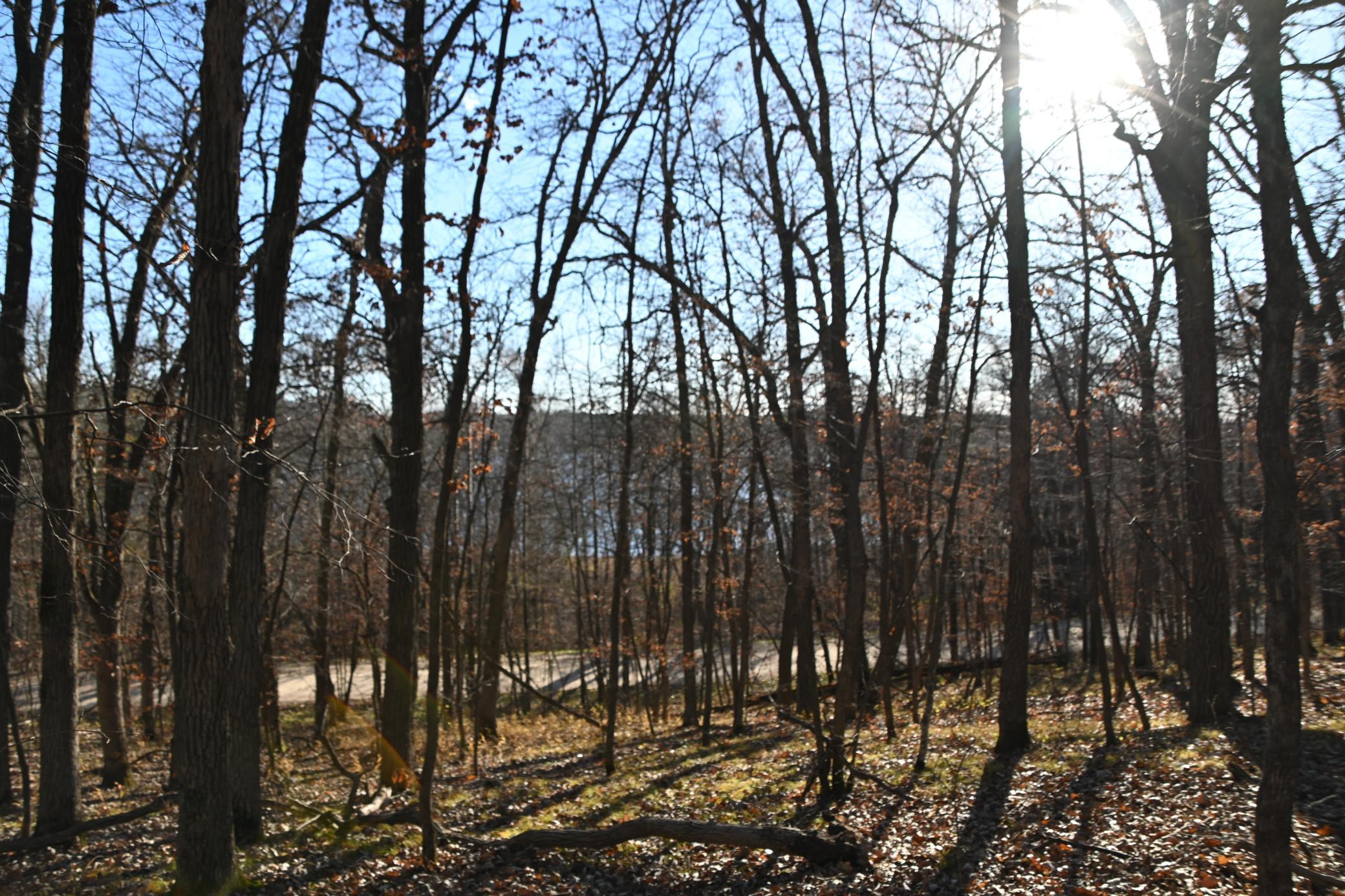 land for sale at TBD 392 Street in Fawn Lake Twp, MN (photo 14 of 17)