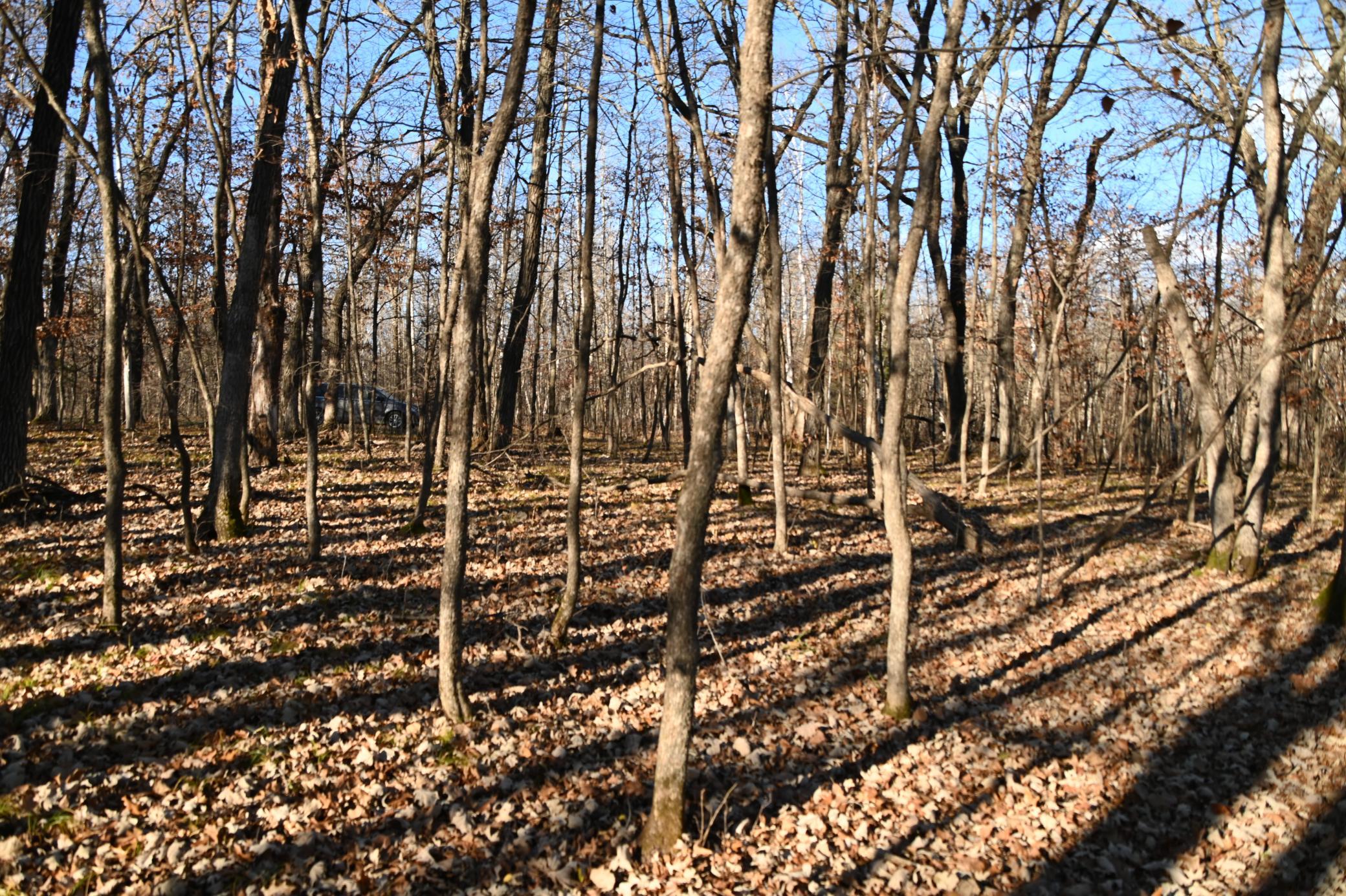land for sale at TBD 392 Street in Fawn Lake Twp, MN (photo 15 of 17)