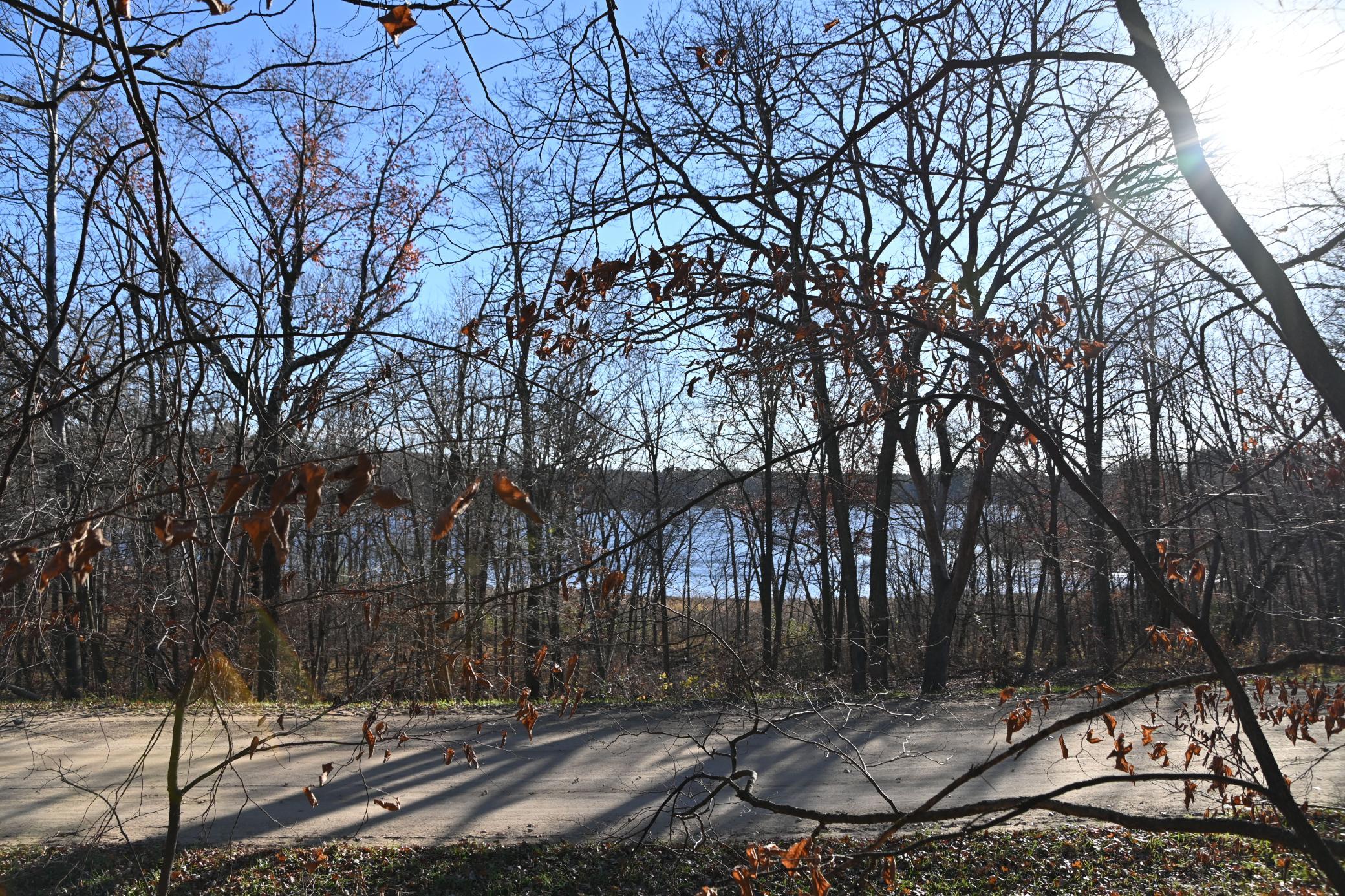 land for sale at TBD 392 Street in Fawn Lake Twp, MN (photo 3 of 17)