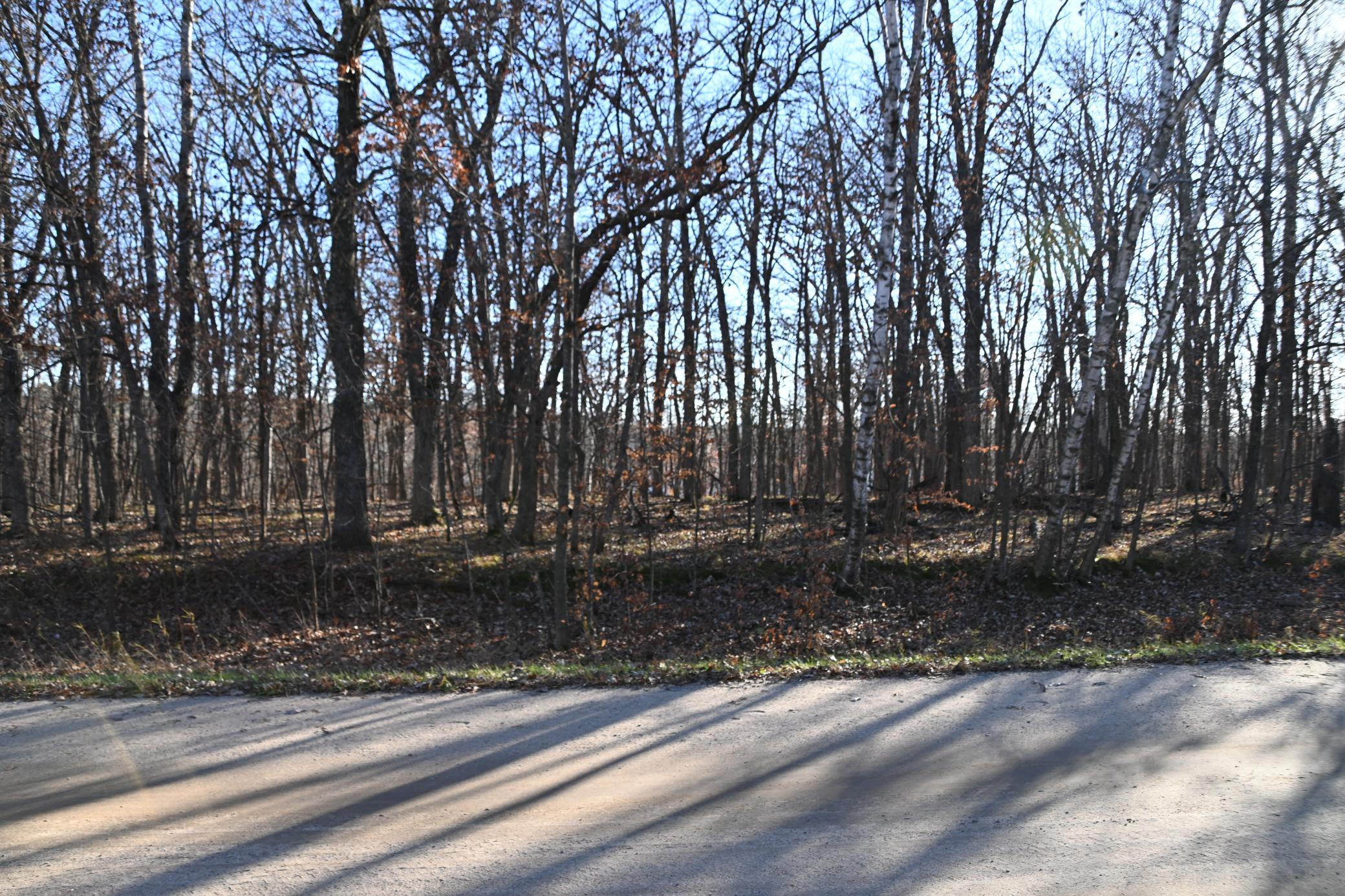 land for sale at TBD 392 Street in Fawn Lake Twp, MN (photo 4 of 17)