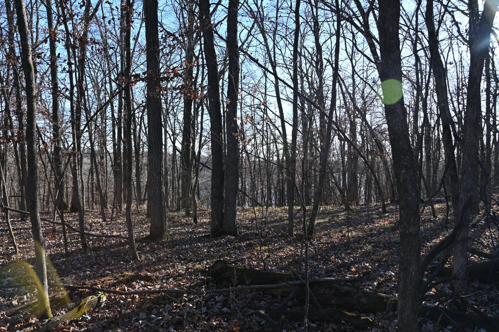 land for sale at TBD 392 Street in Fawn Lake Twp, MN (photo 9 of 17)