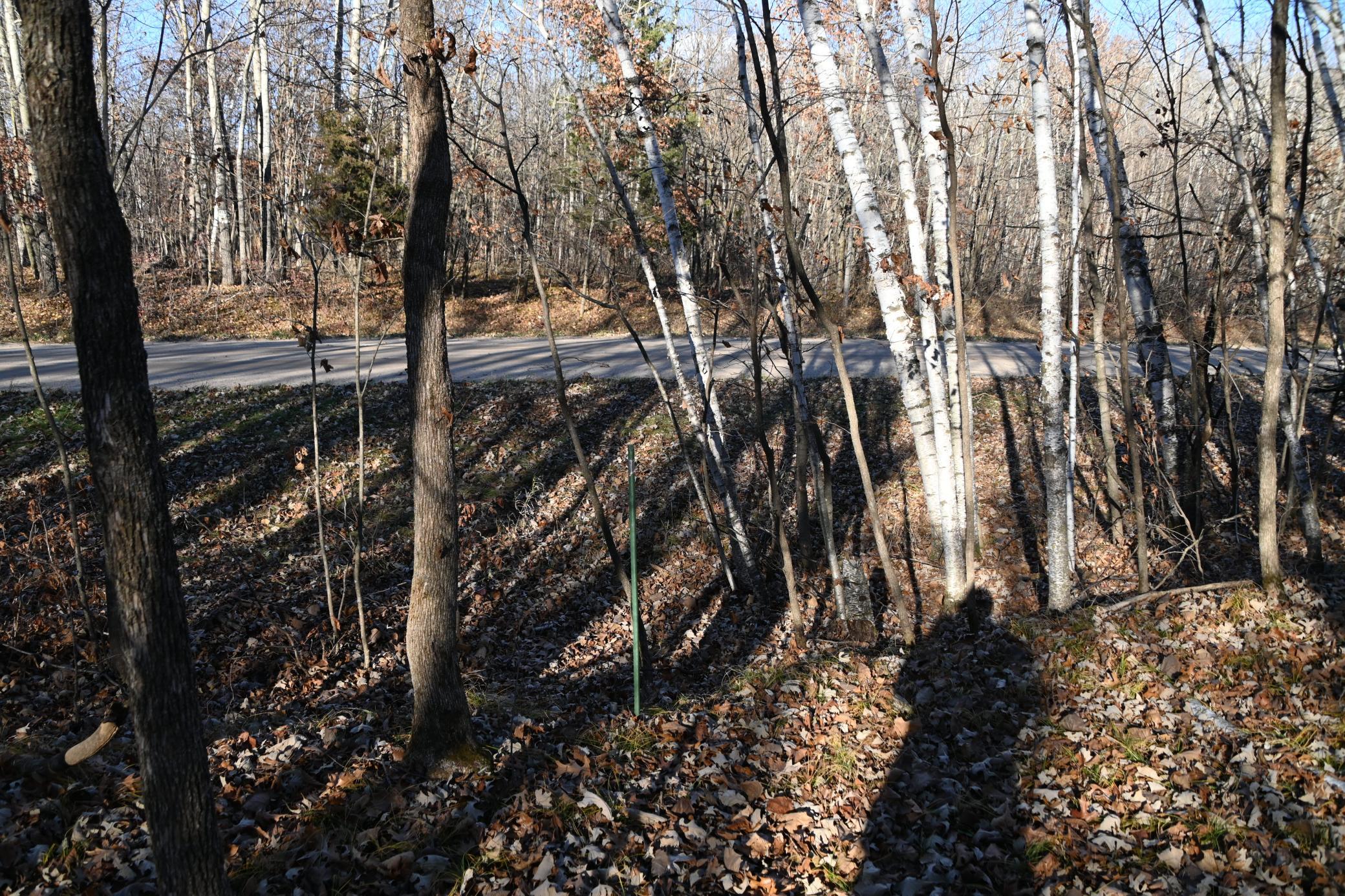 land for sale at TBD 392 Street in Fawn Lake Twp, MN (photo 10 of 17)