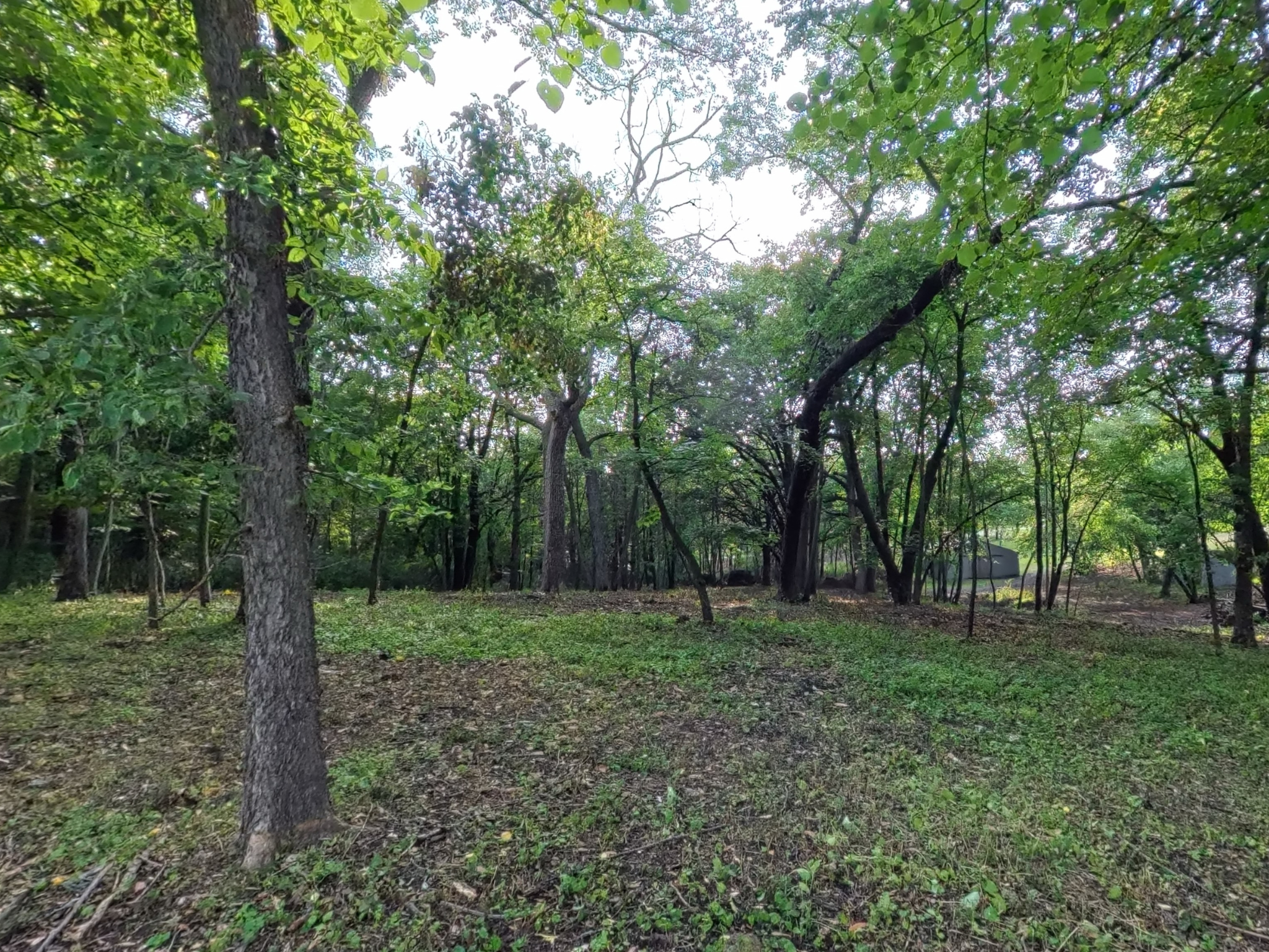 land for sale at Lot 4 S Le Homme Dieu Drive NE in Alexandria, MN (photo 13 of 13)