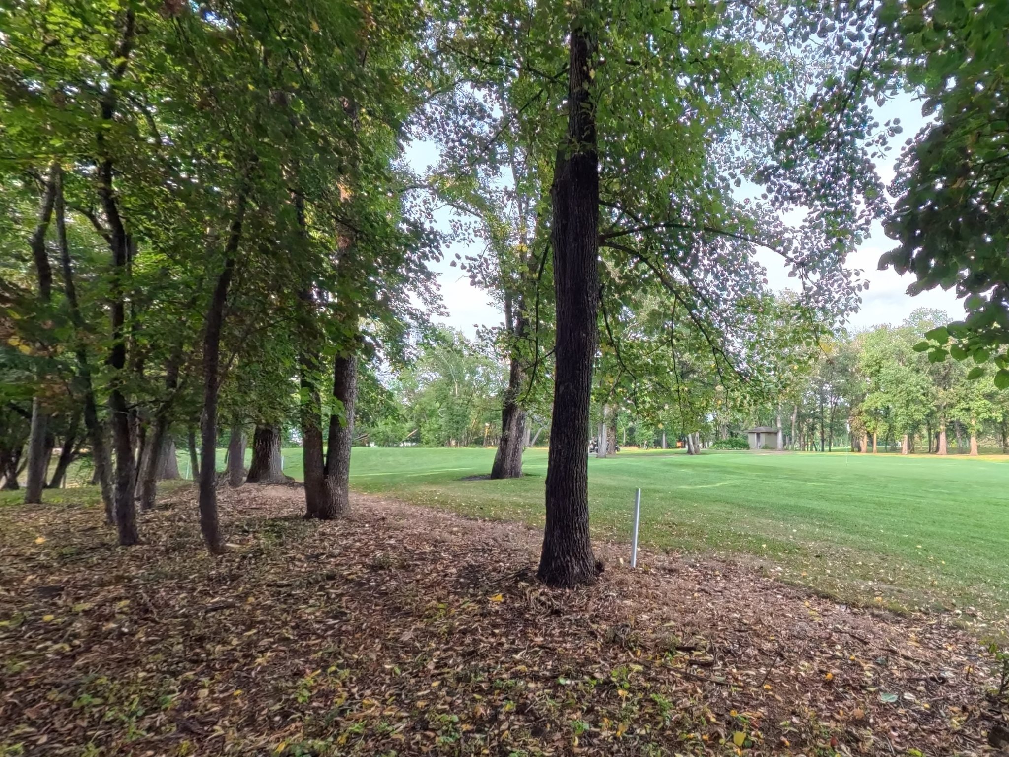 land for sale at Lot 4 S Le Homme Dieu Drive NE in Alexandria, MN (photo 3 of 13)