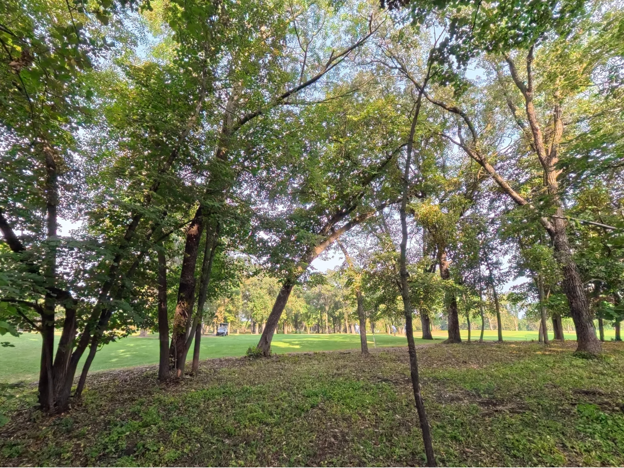 land for sale at Lot 4 S Le Homme Dieu Drive NE in Alexandria, MN (photo 4 of 13)