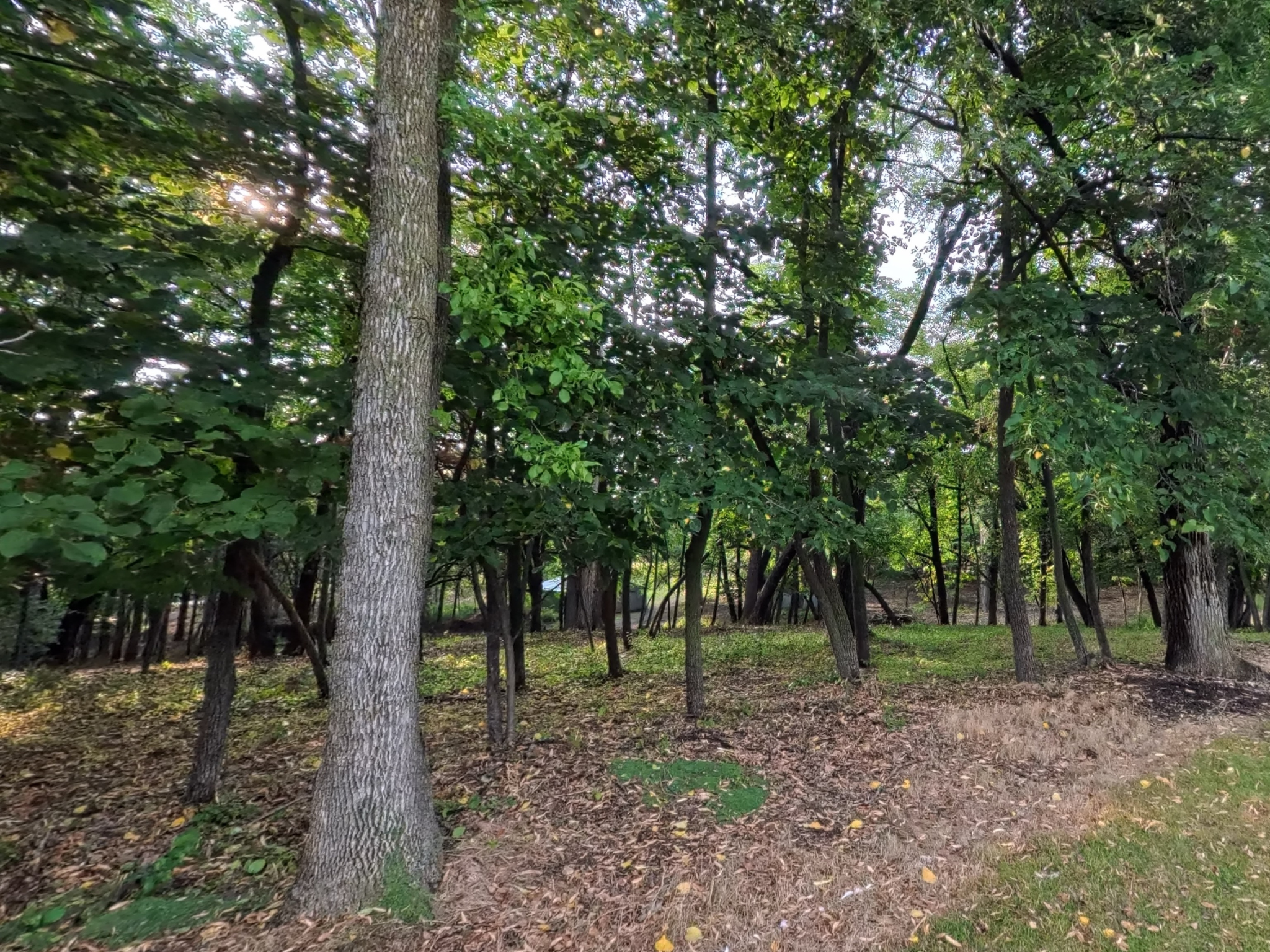 land for sale at Lot 4 S Le Homme Dieu Drive NE in Alexandria, MN (photo 5 of 13)