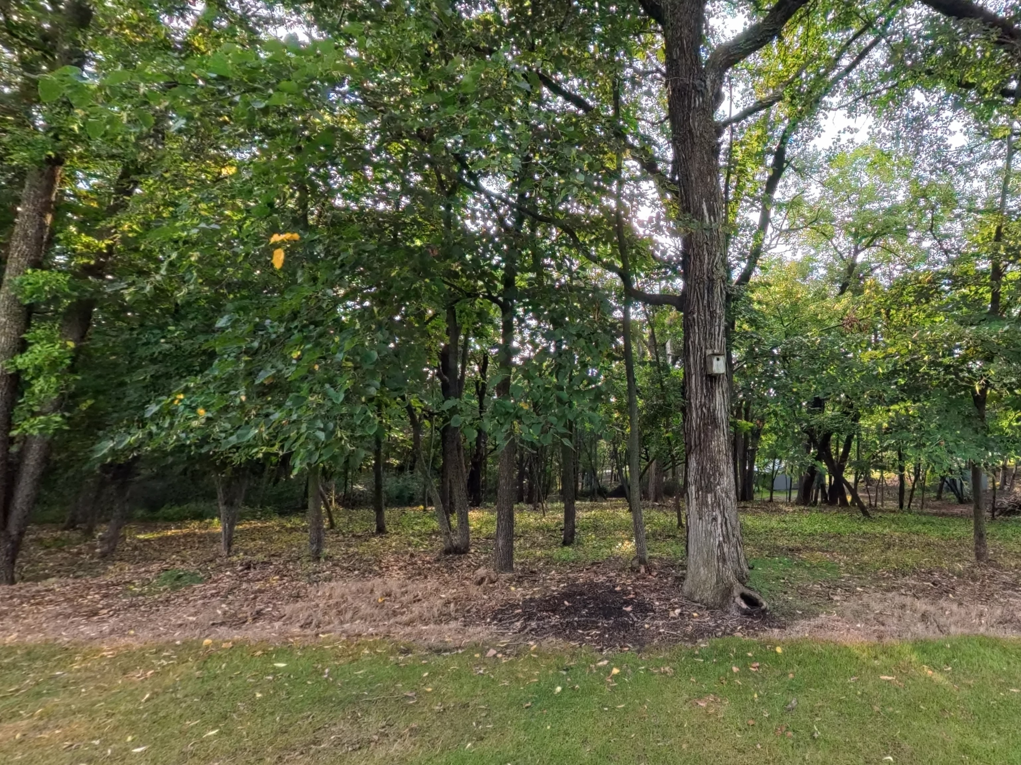 land for sale at Lot 4 S Le Homme Dieu Drive NE in Alexandria, MN (photo 6 of 13)