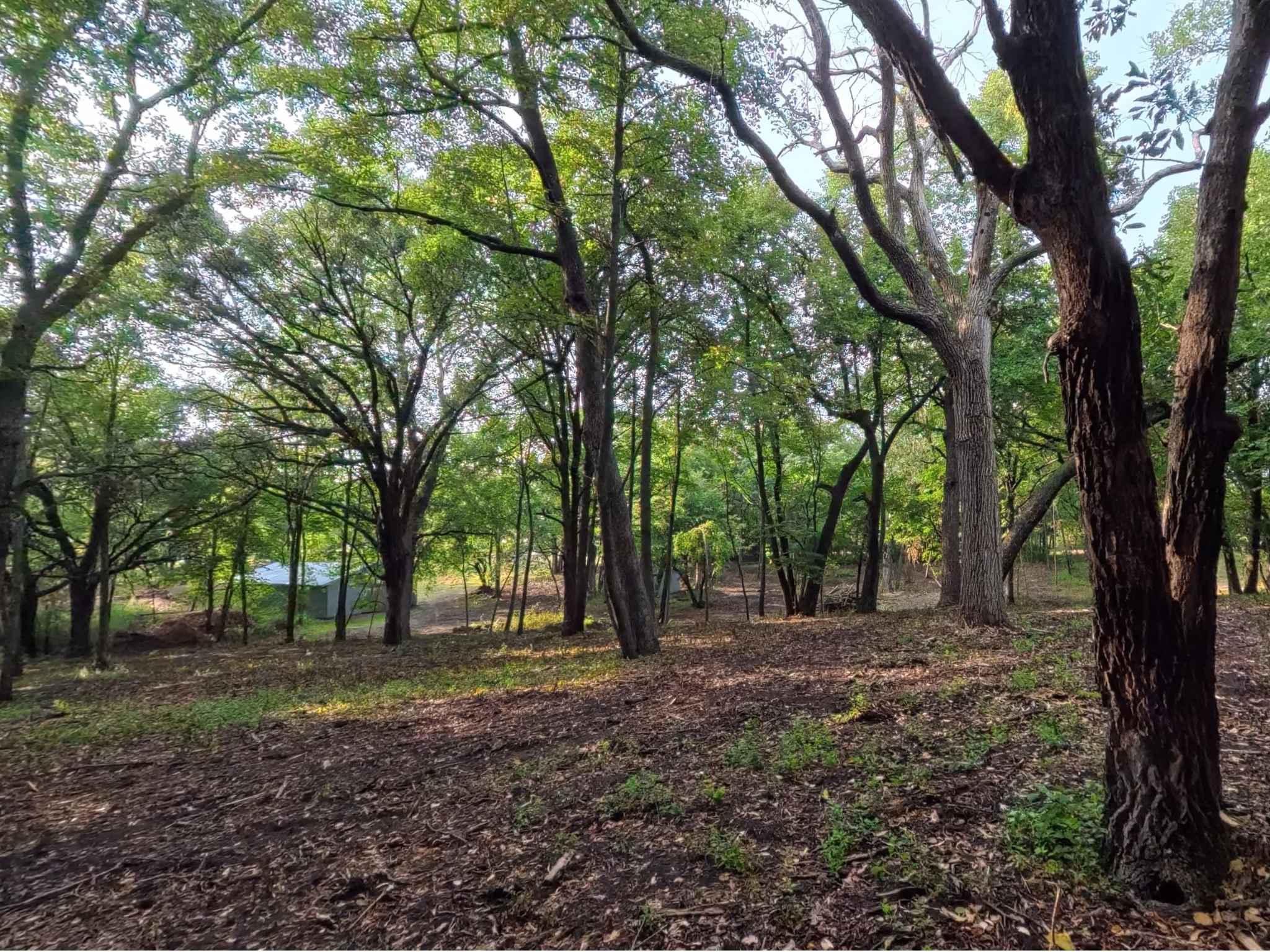land for sale at Lot 4 S Le Homme Dieu Drive NE in Alexandria, MN (photo 7 of 13)