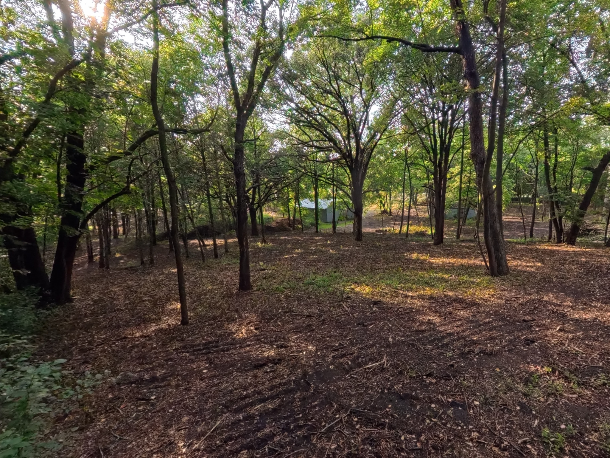 land for sale at Lot 4 S Le Homme Dieu Drive NE in Alexandria, MN (photo 8 of 13)