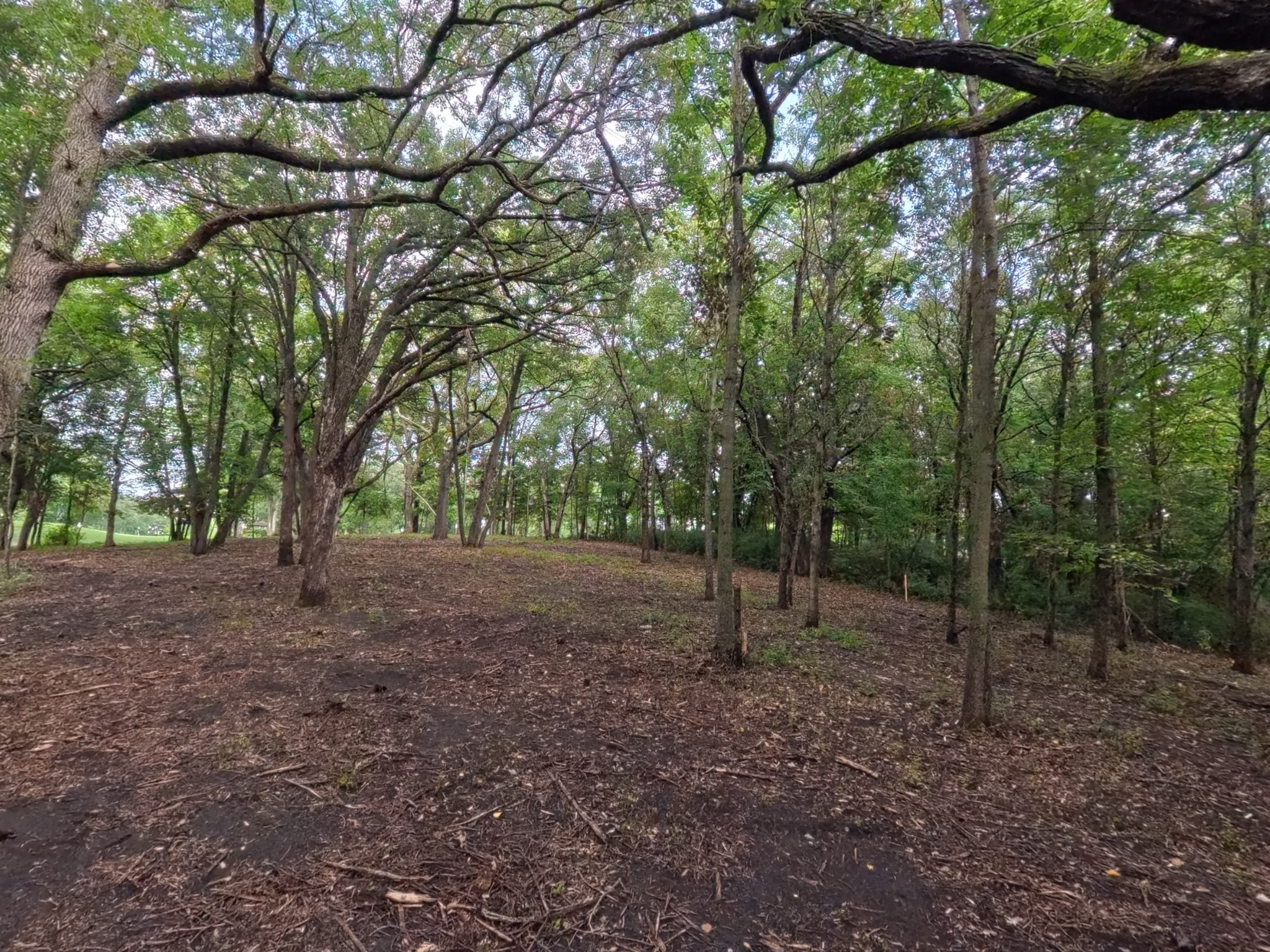 land for sale at Lot 4 S Le Homme Dieu Drive NE in Alexandria, MN (photo 9 of 13)