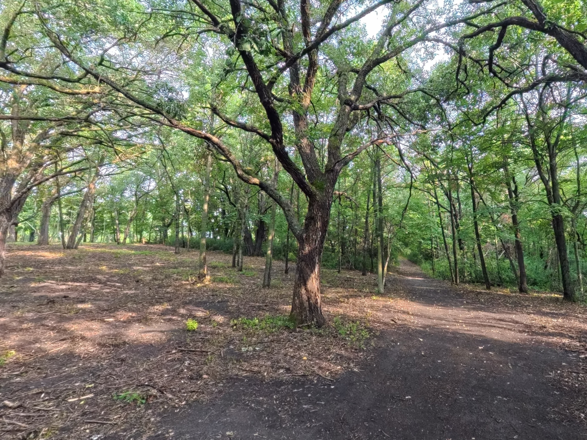 land for sale at Lot 4 S Le Homme Dieu Drive NE in Alexandria, MN (photo 10 of 13)
