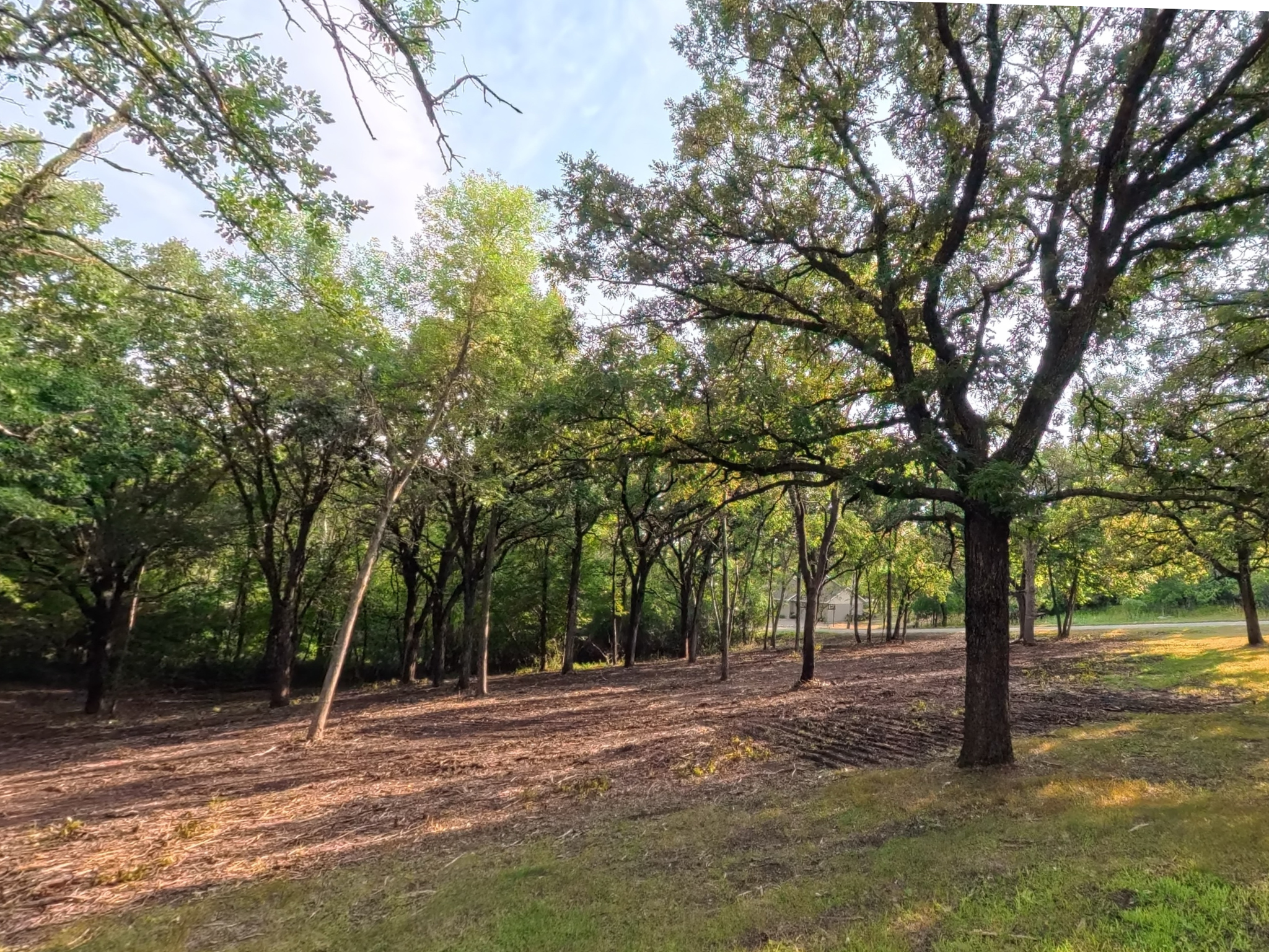 land for sale at Lot 2 S Le Homme Dieu Drive NE in Alexandria, MN (photo 3 of 9)