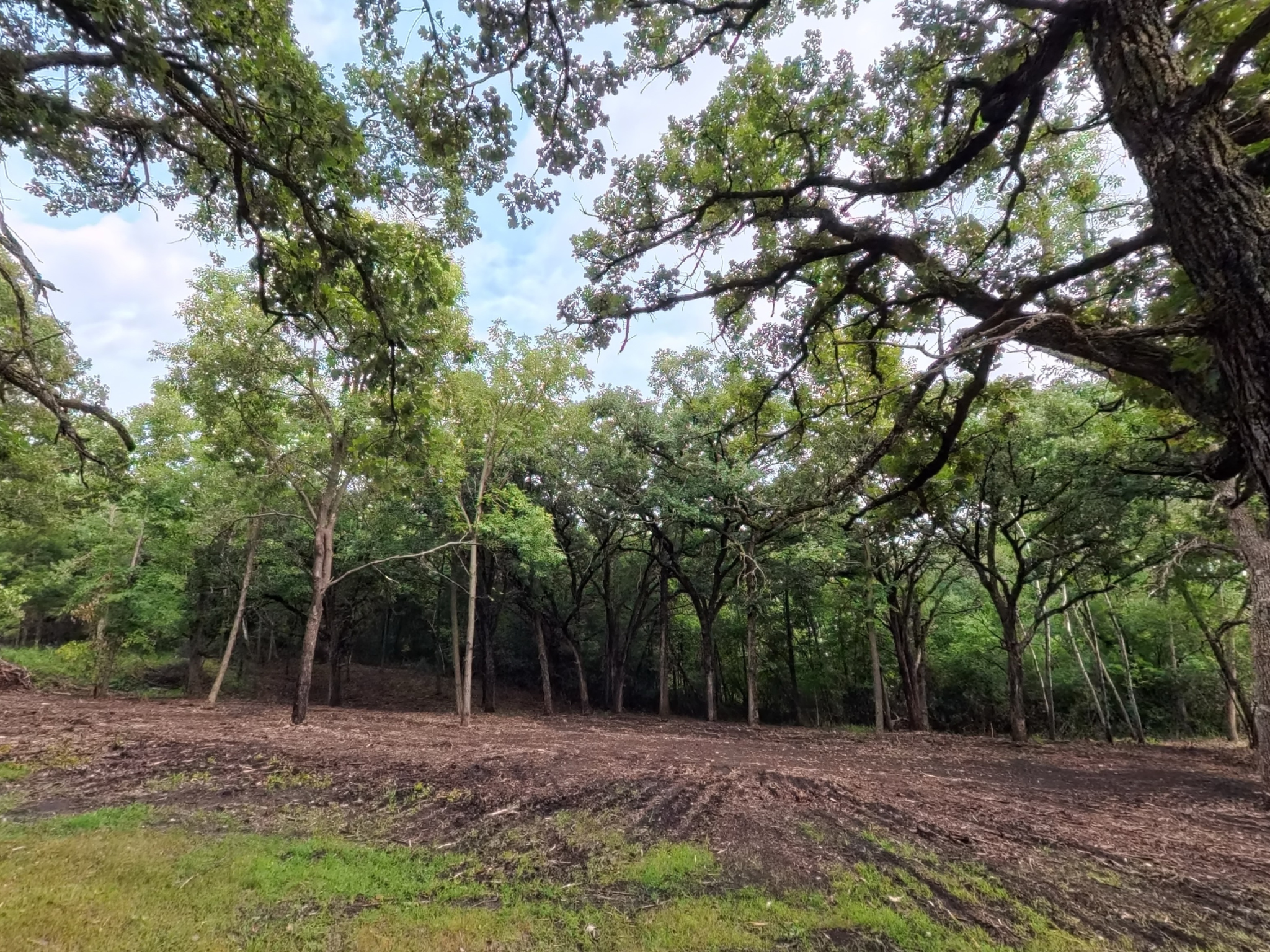 land for sale at Lot 2 S Le Homme Dieu Drive NE in Alexandria, MN (photo 4 of 9)