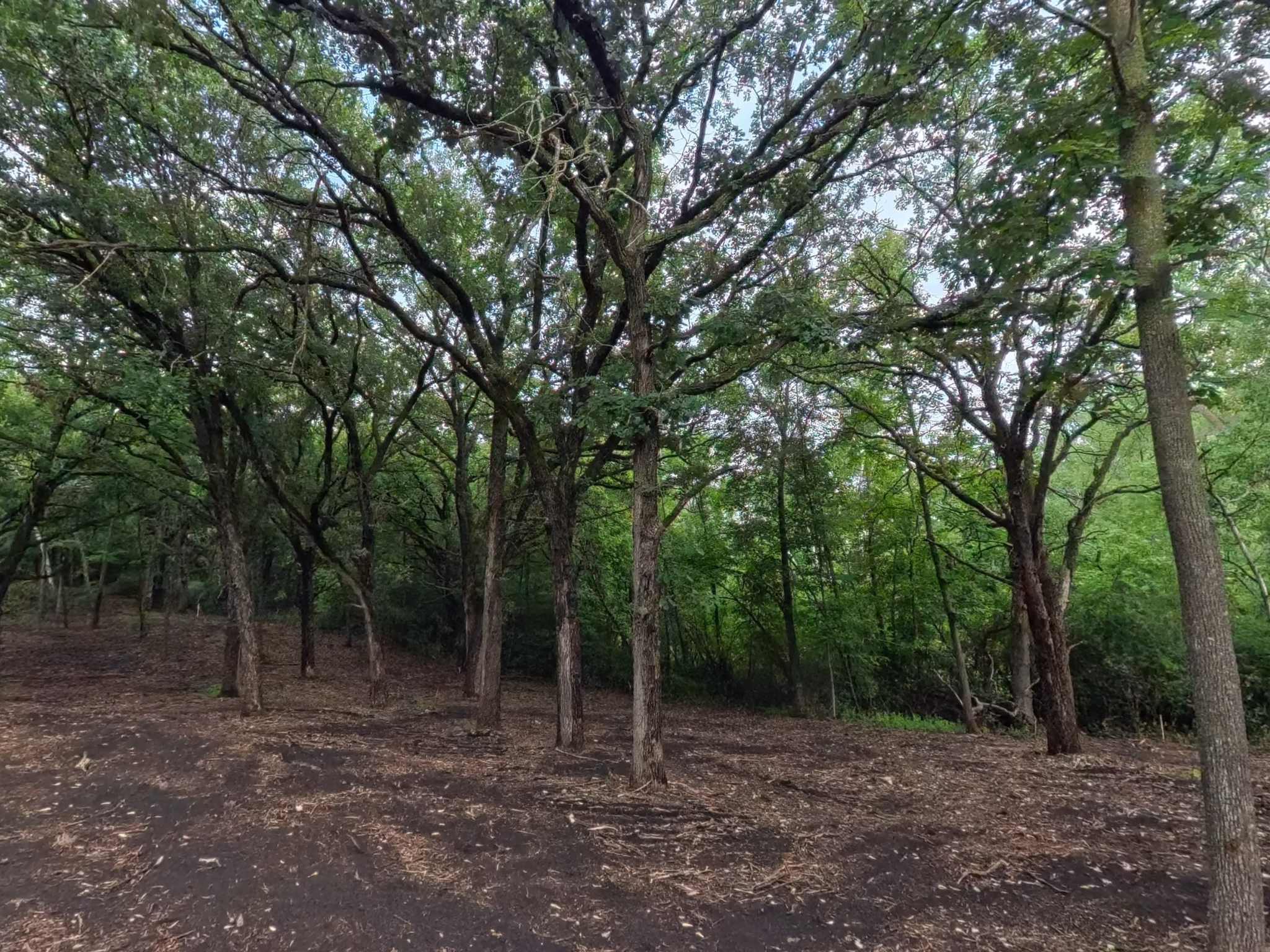 land for sale at Lot 2 S Le Homme Dieu Drive NE in Alexandria, MN (photo 5 of 9)