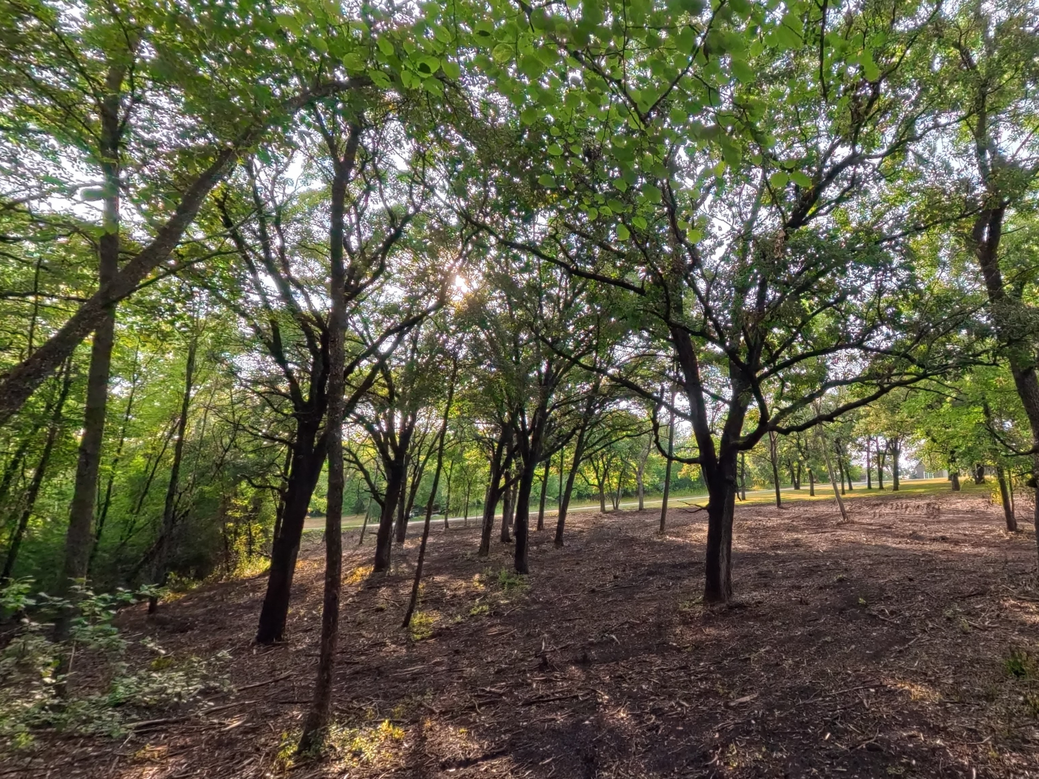 land for sale at Lot 2 S Le Homme Dieu Drive NE in Alexandria, MN (photo 6 of 9)