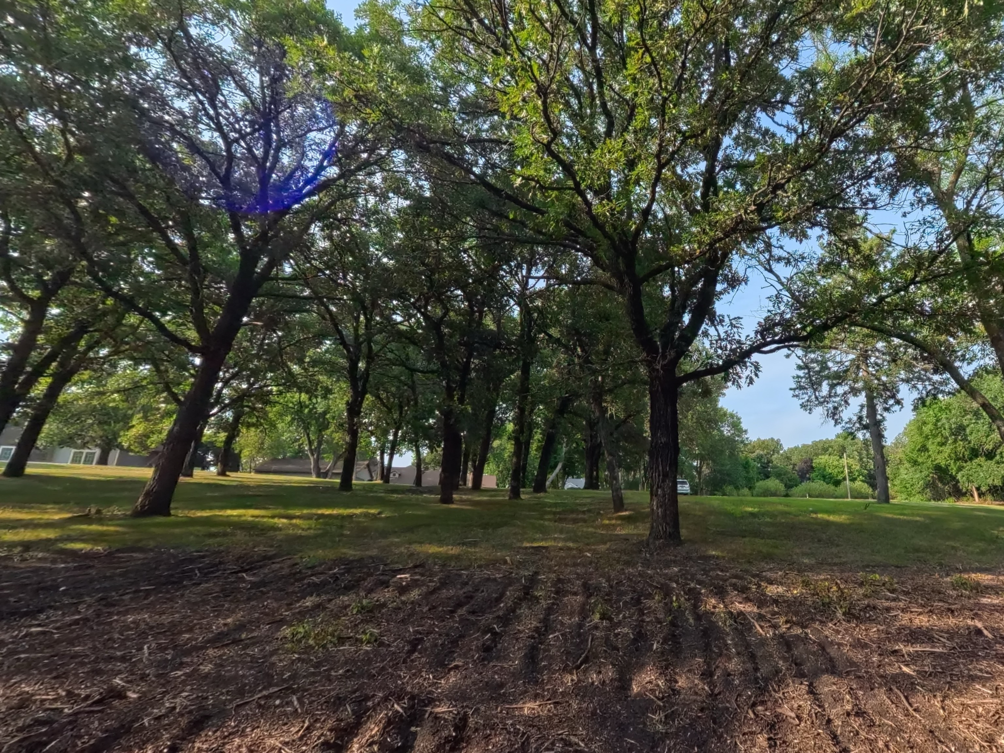 land for sale at Lot 2 S Le Homme Dieu Drive NE in Alexandria, MN (photo 7 of 9)