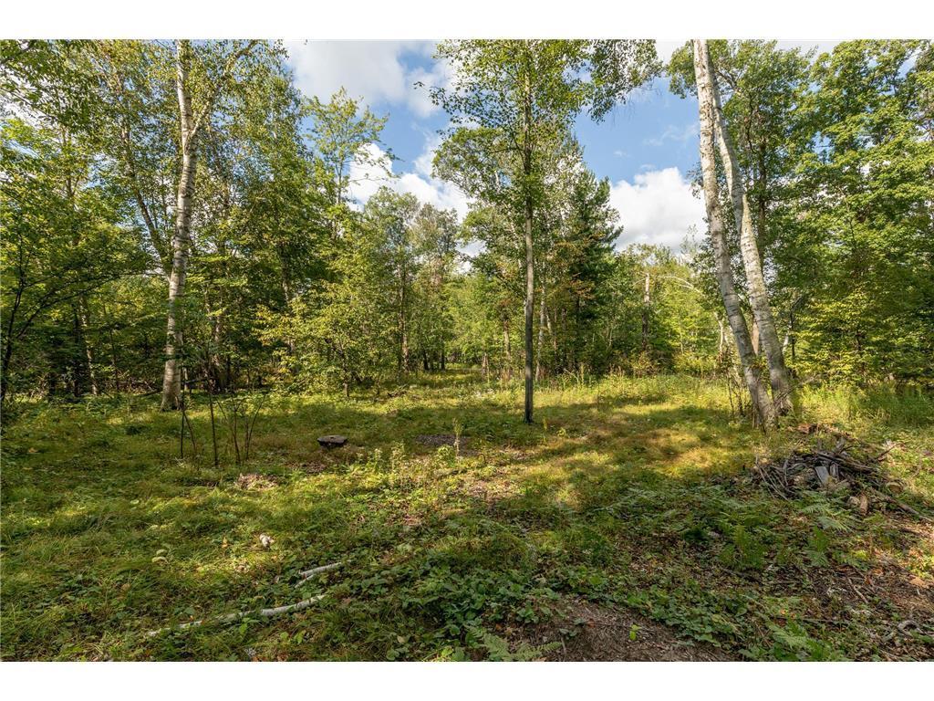 TBD Wood Drive SW, Brainerd MN 56401 - Photo 9 of 10