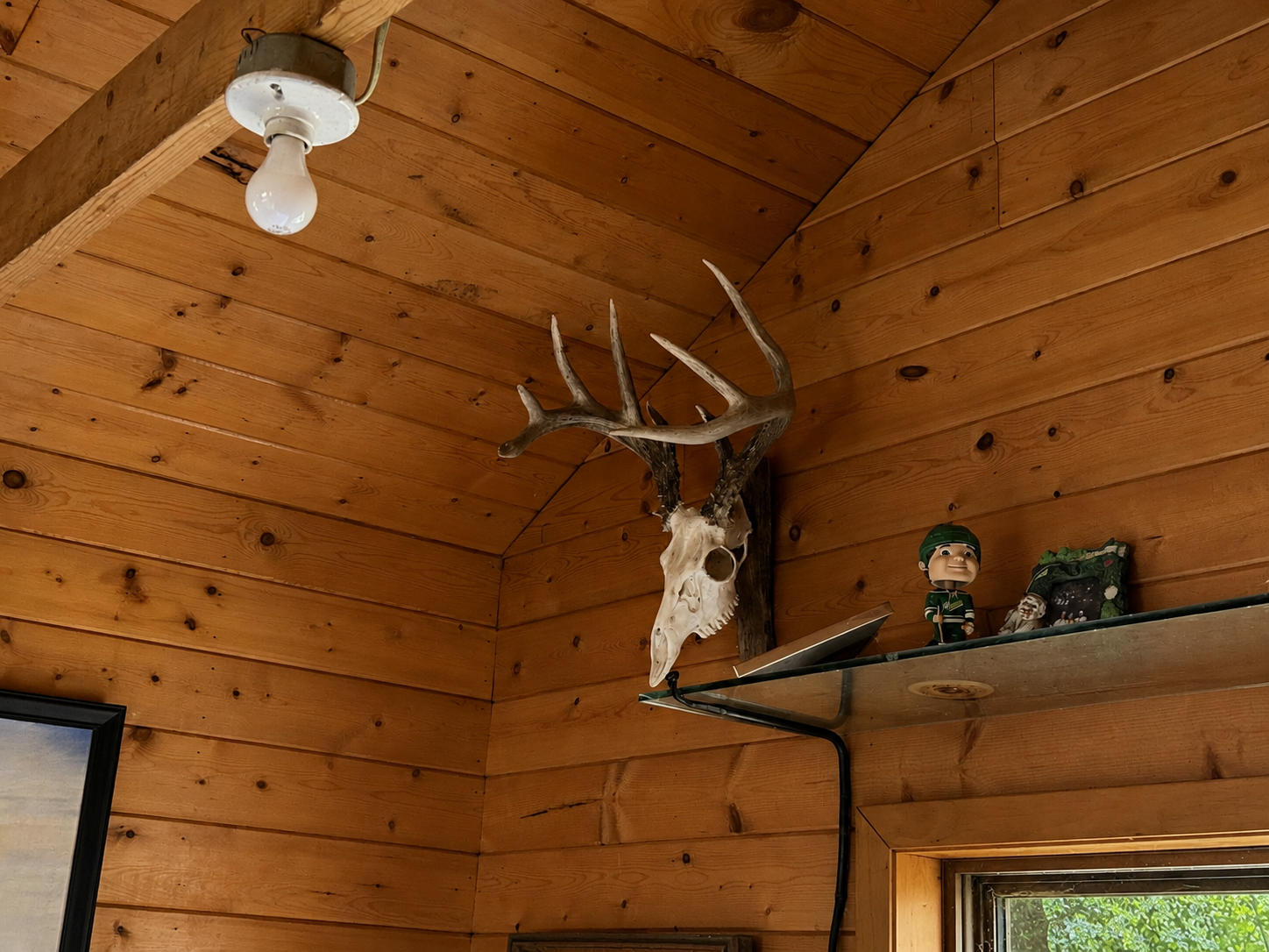 TBD Chimney Road, Nevis MN 56467 - Photo 11 of 13